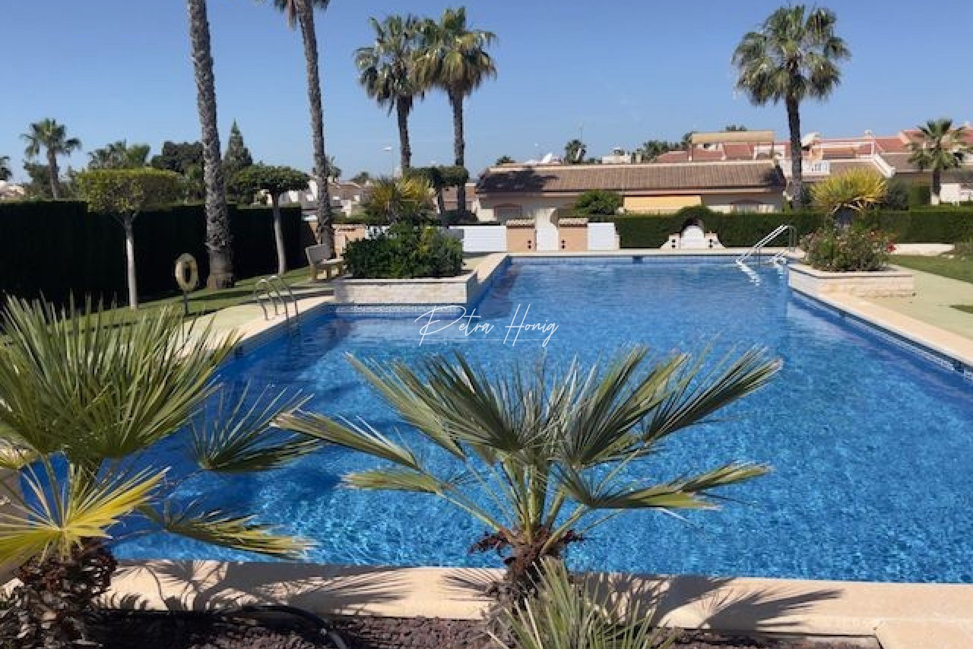 Resales - Townhouse - Ciudad Quesada - Dona Pepa