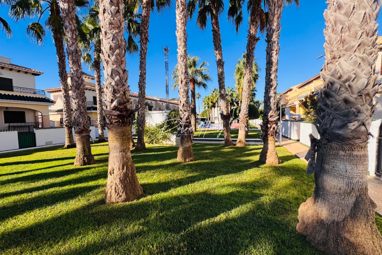 Resales - Townhouse - Ciudad Quesada - Doña pepa