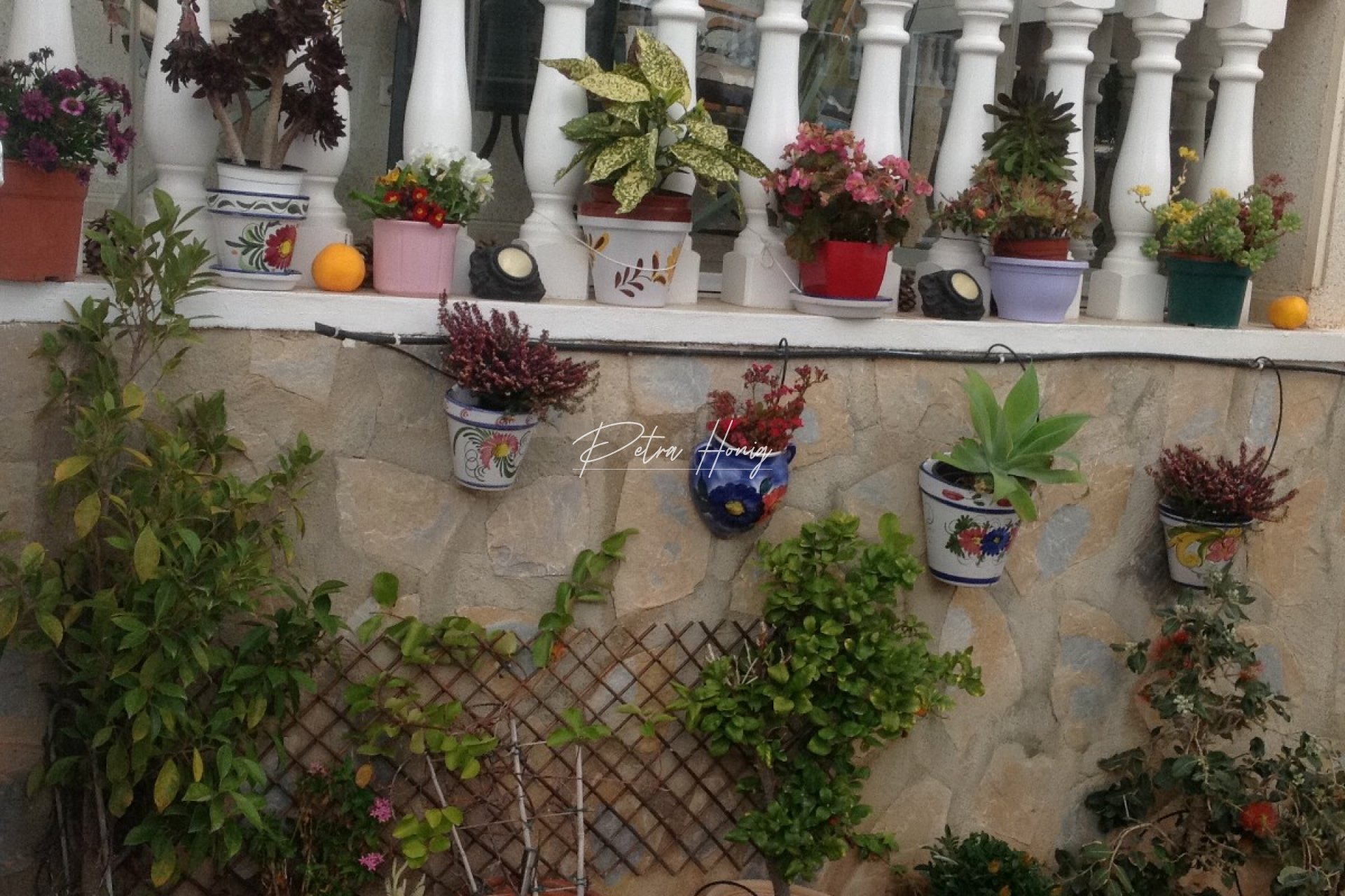 Resales - Townhouse - Ciudad Quesada - Dona Pepa