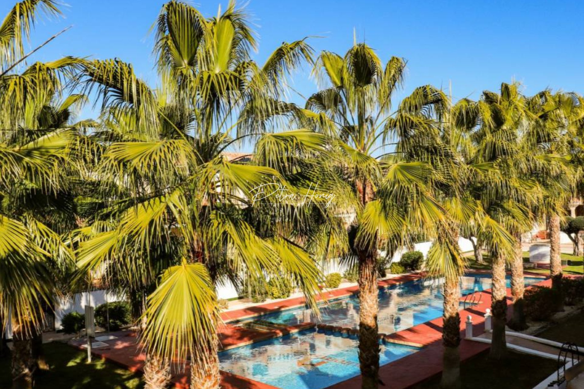 Resales - Townhouse - Ciudad Quesada - Dona Pepa