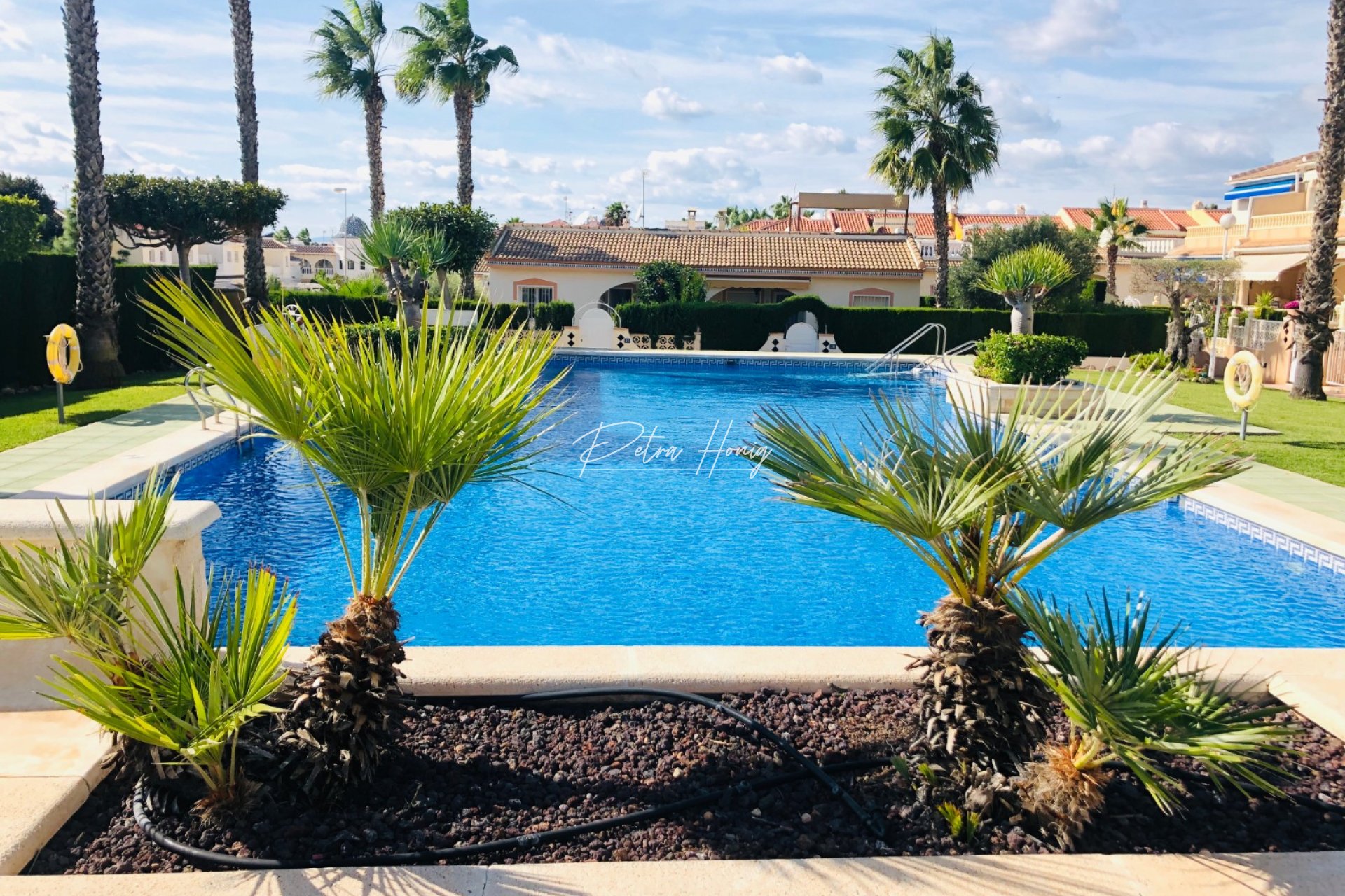 Resales - Townhouse - Ciudad Quesada - Dona Pepa