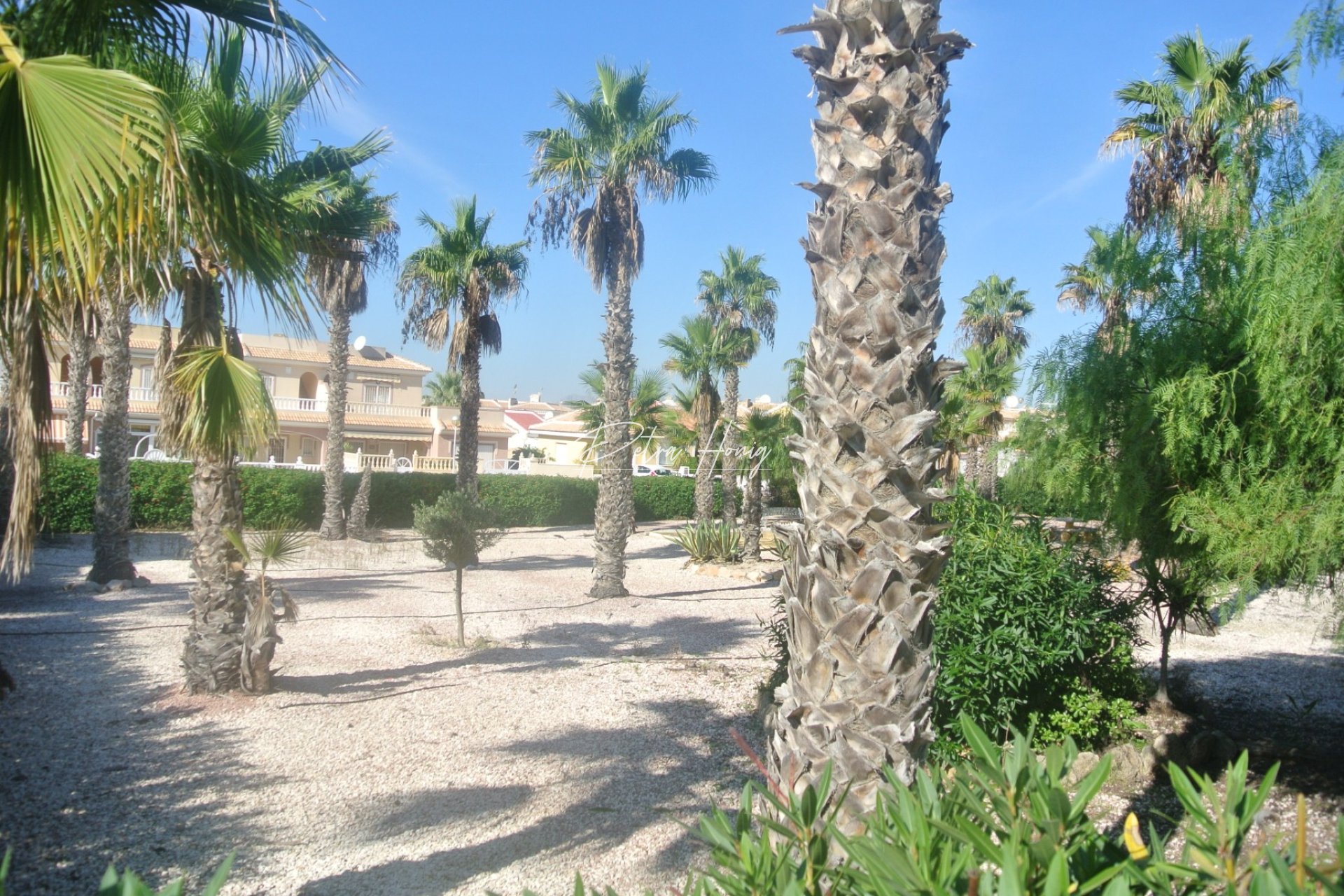 Resales - Townhouse - Ciudad Quesada - Monte Azul Quesada