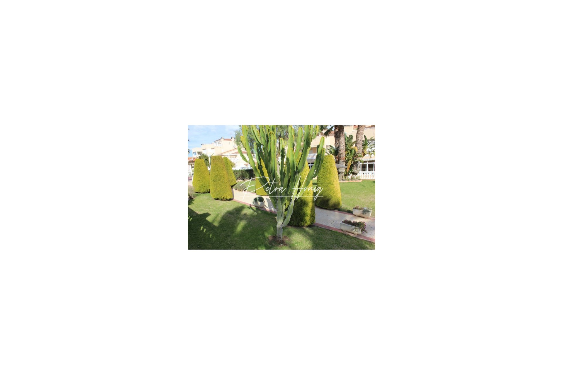 Resales - Townhouse - Playa Flamenca - Zeniamar