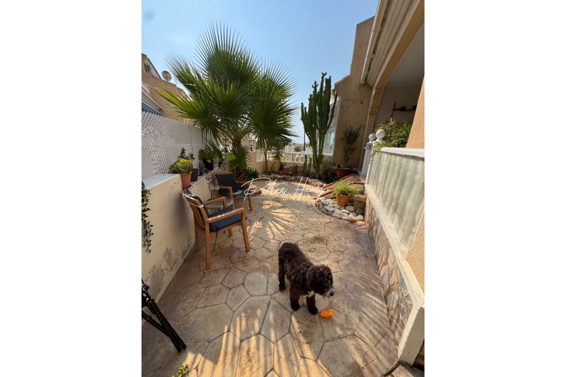 Resales - Townhouse / Semi-detached - Ciudad Quesada - Dona Pepa