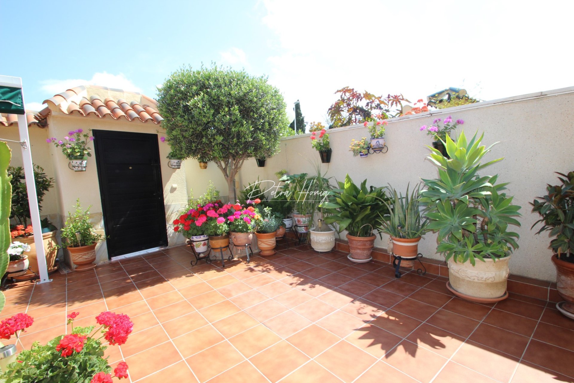 Resales - Townhouse - Torrevieja