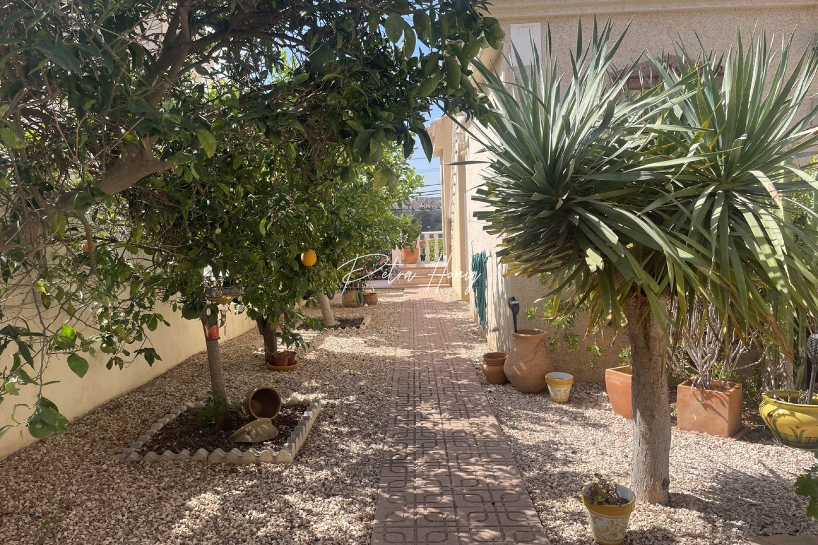 Resales - Villa - Algorfa - La Finca Golf - Algorfa