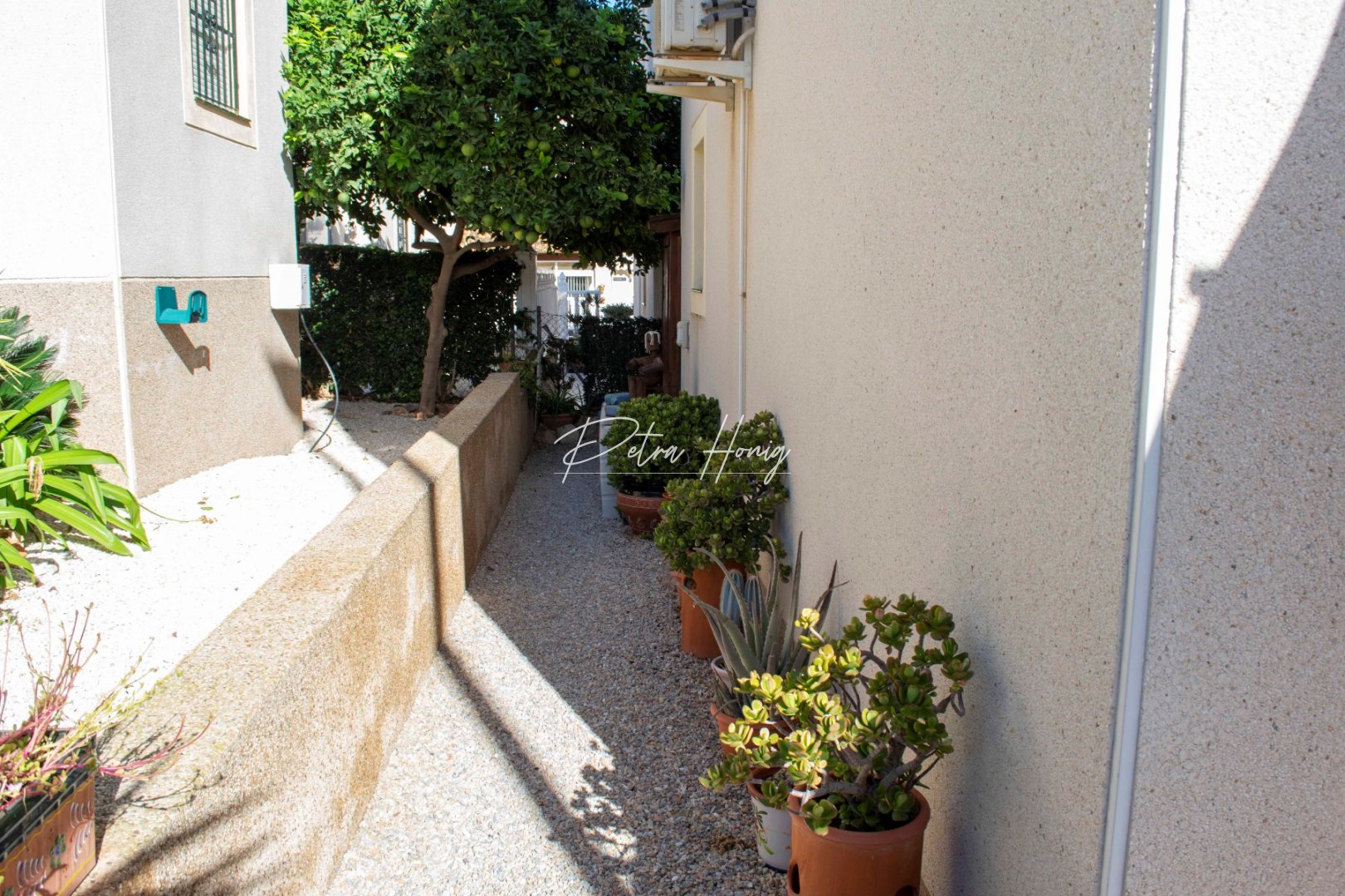 Resales - Villa - Algorfa - La Finca Golf - Montebello