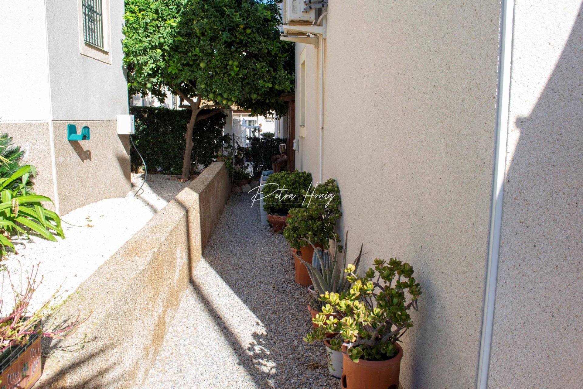 Resales - Villa - Algorfa - Montebello