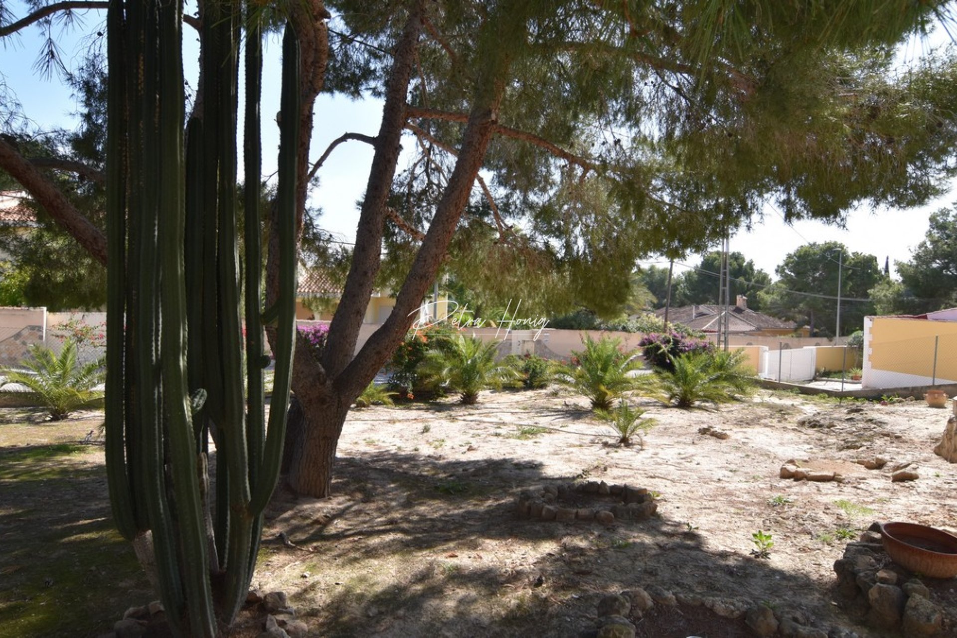 Resales - Villa - Algorfa - Montemar