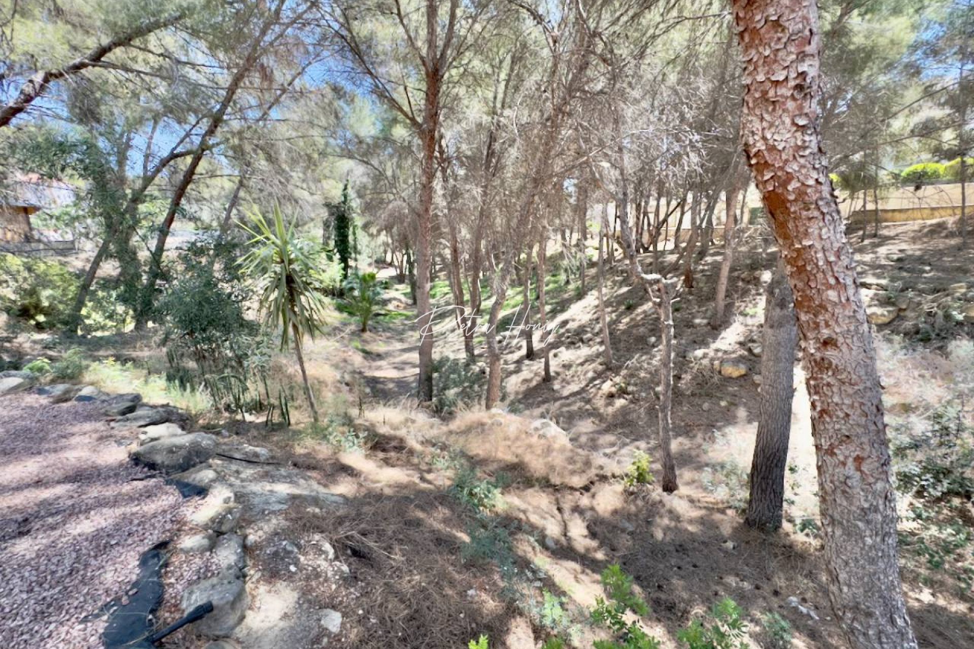 Resales - Villa - Algorfa