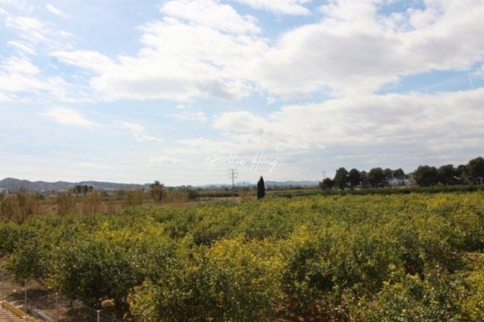 Resales - Villa - Almoradi