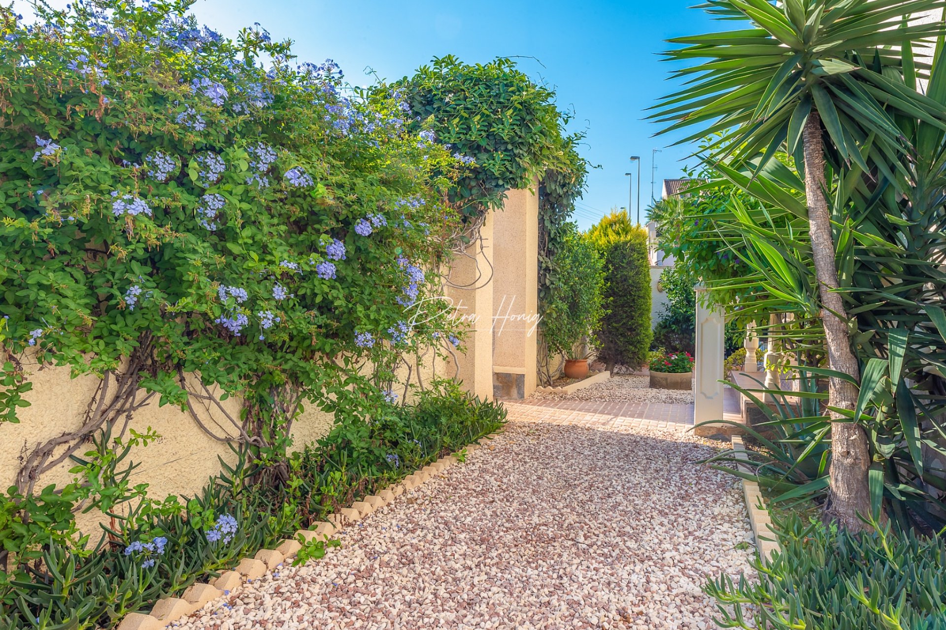 Resales - Villa - Ciudad Quesada - Atalaya Park