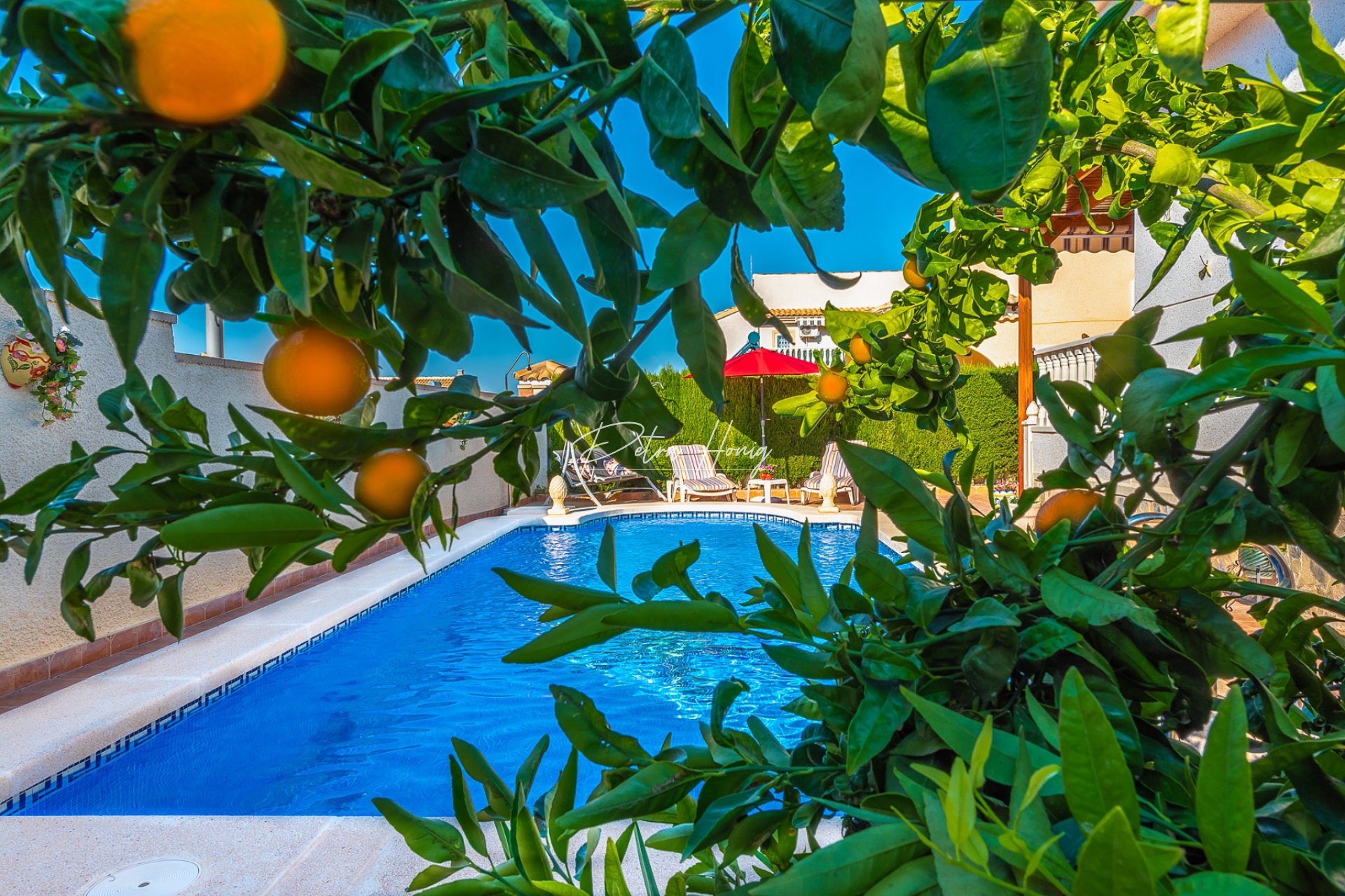 Resales - Villa - Ciudad Quesada - Atalaya Park