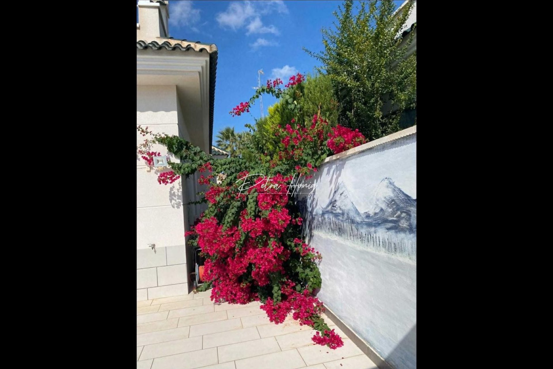 Resales - Villa - Ciudad Quesada - Doña Pepa