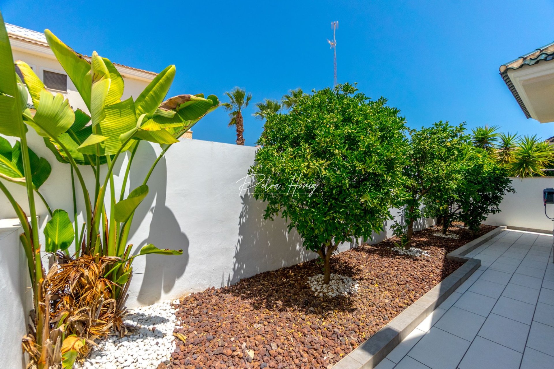 Resales - Villa - Ciudad Quesada - Doña Pepa