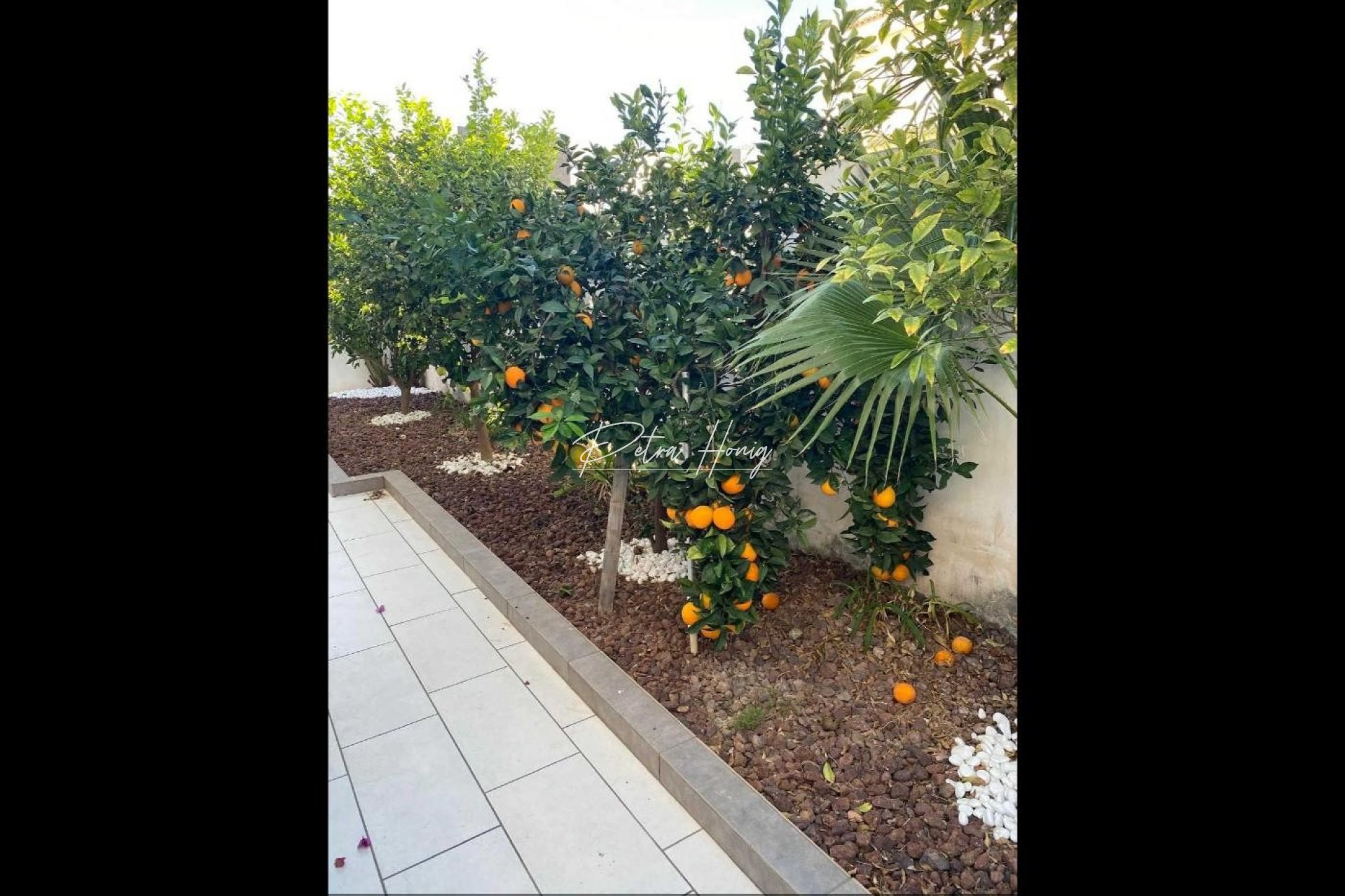 Resales - Villa - Ciudad Quesada - Doña Pepa