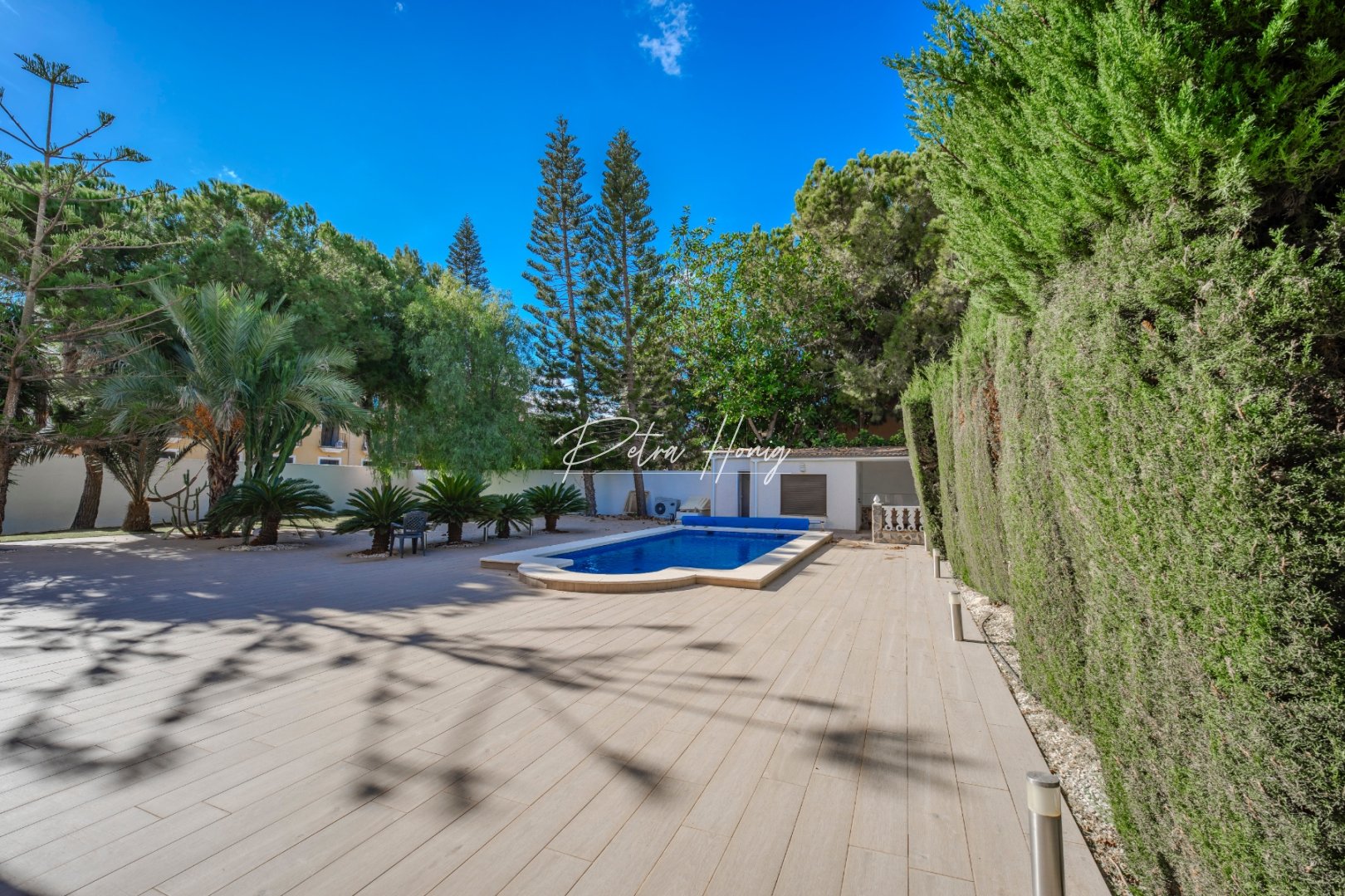 Resales - Villa - Ciudad Quesada - Dona Pepa