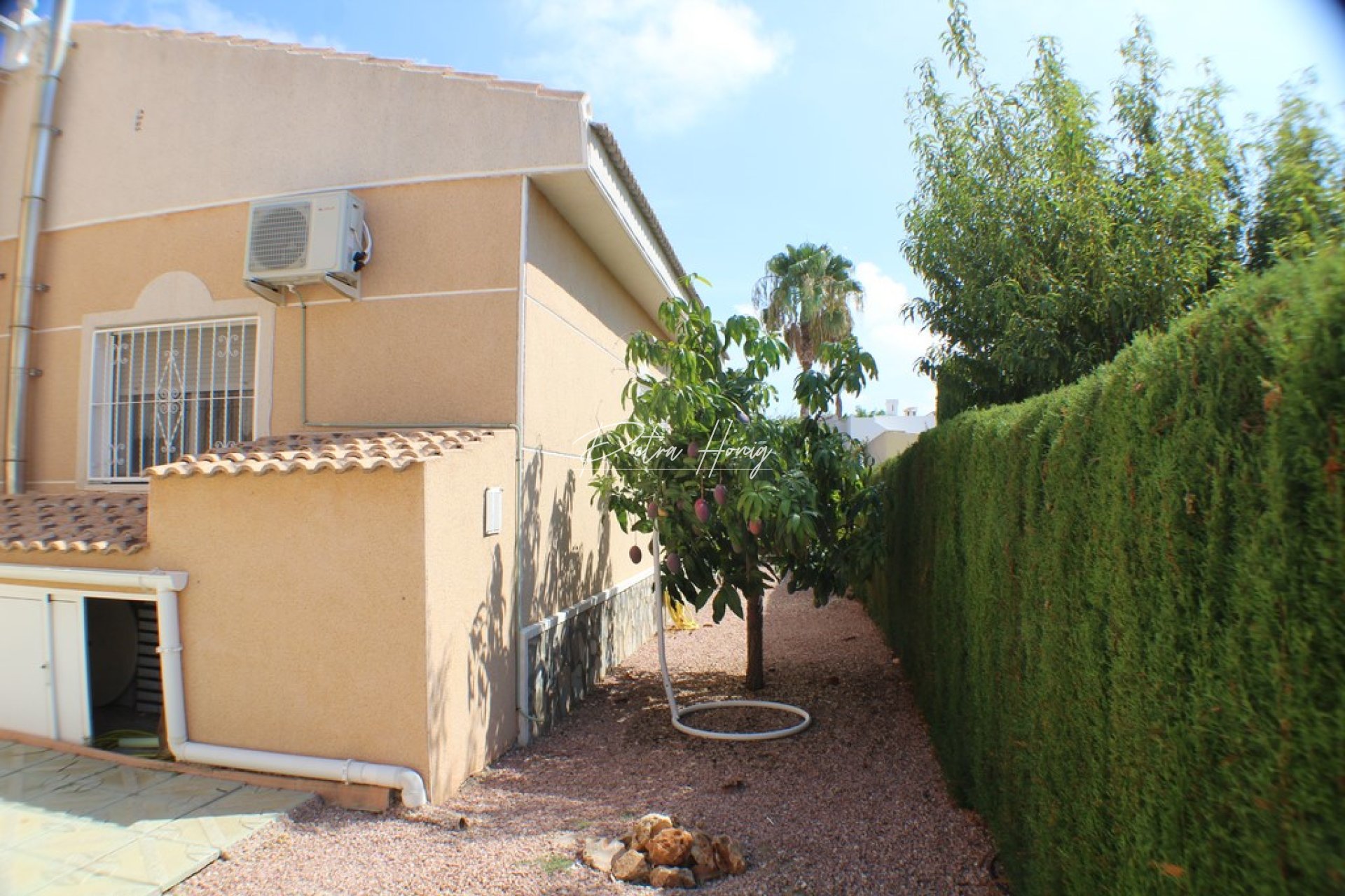 Resales - Villa - Ciudad Quesada - Dona Pepa