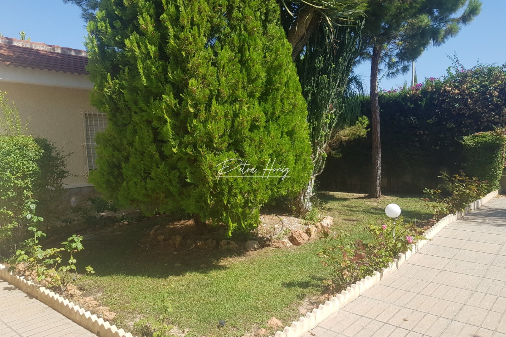 Resales - Villa - Ciudad Quesada - Dona Pepa