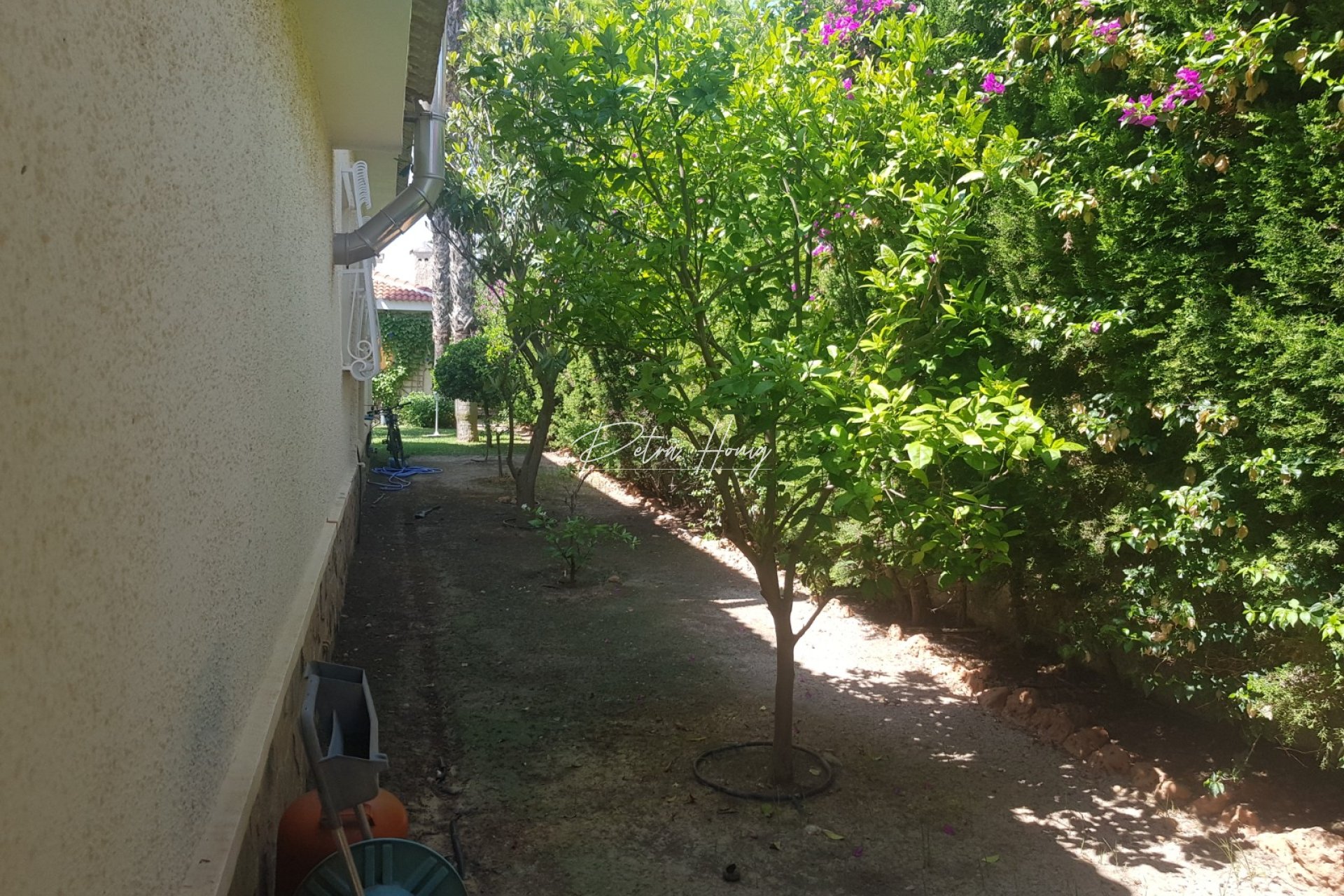Resales - Villa - Ciudad Quesada - Dona Pepa