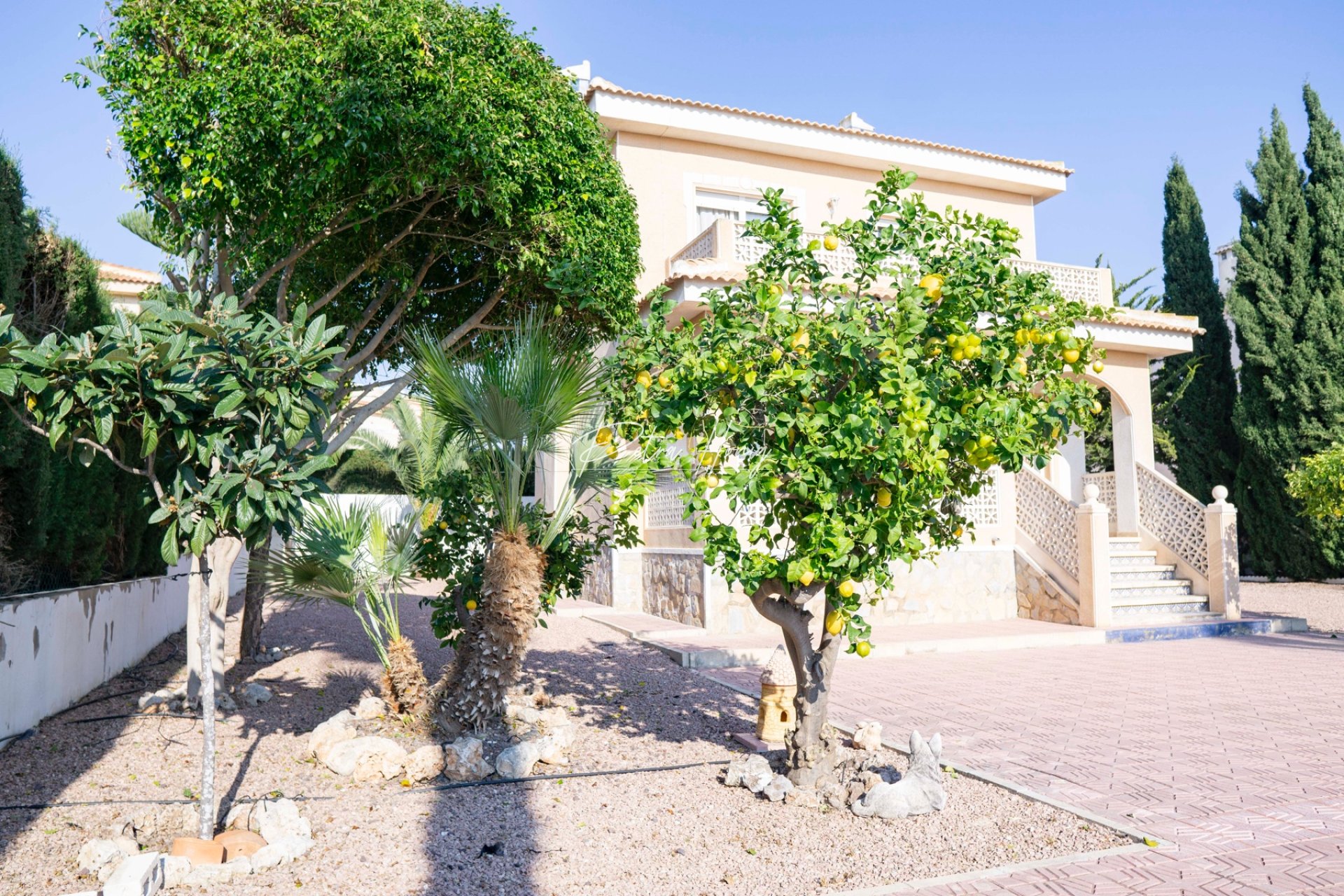 Resales - Villa - Ciudad Quesada - Dona Pepa