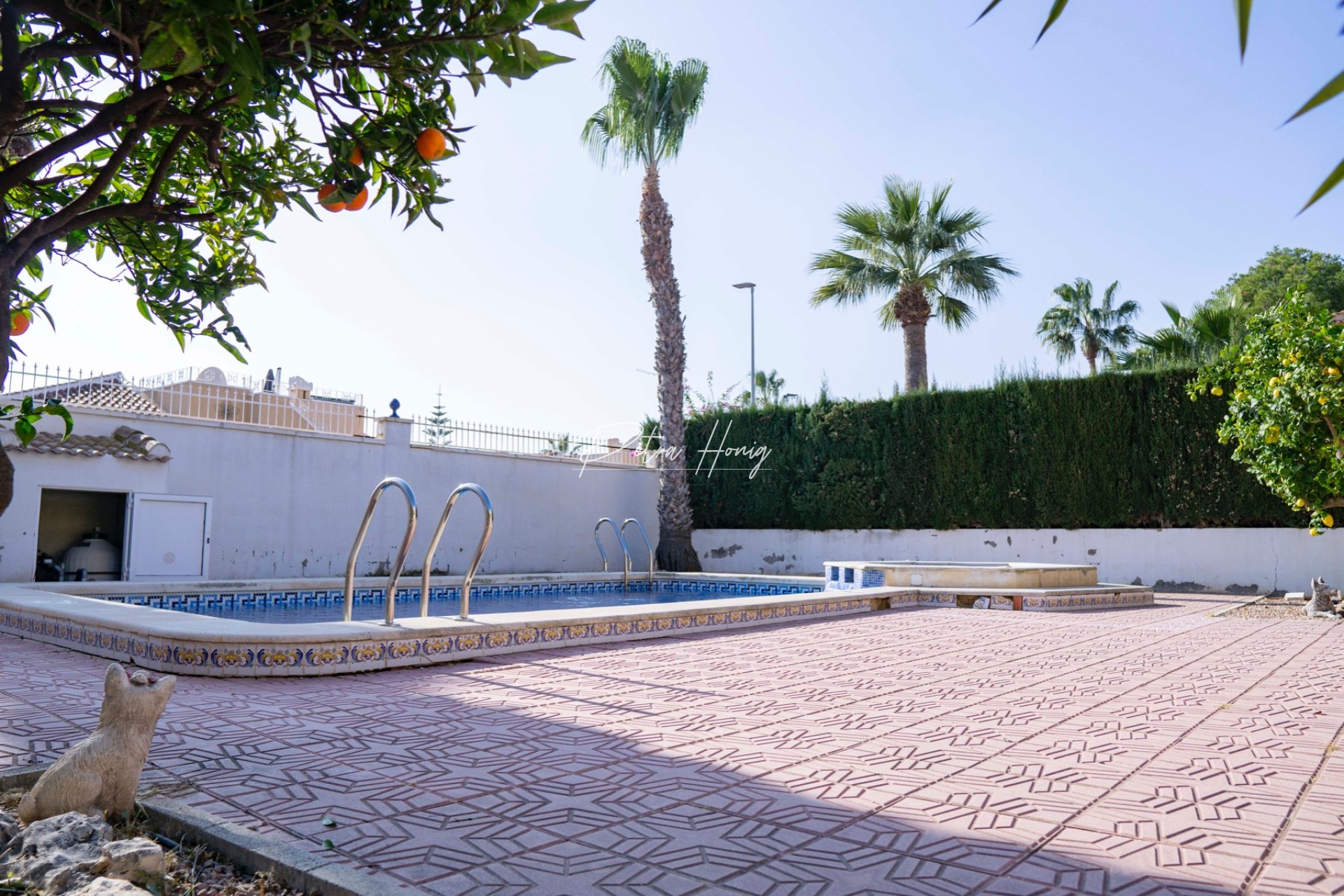 Resales - Villa - Ciudad Quesada - Dona Pepa