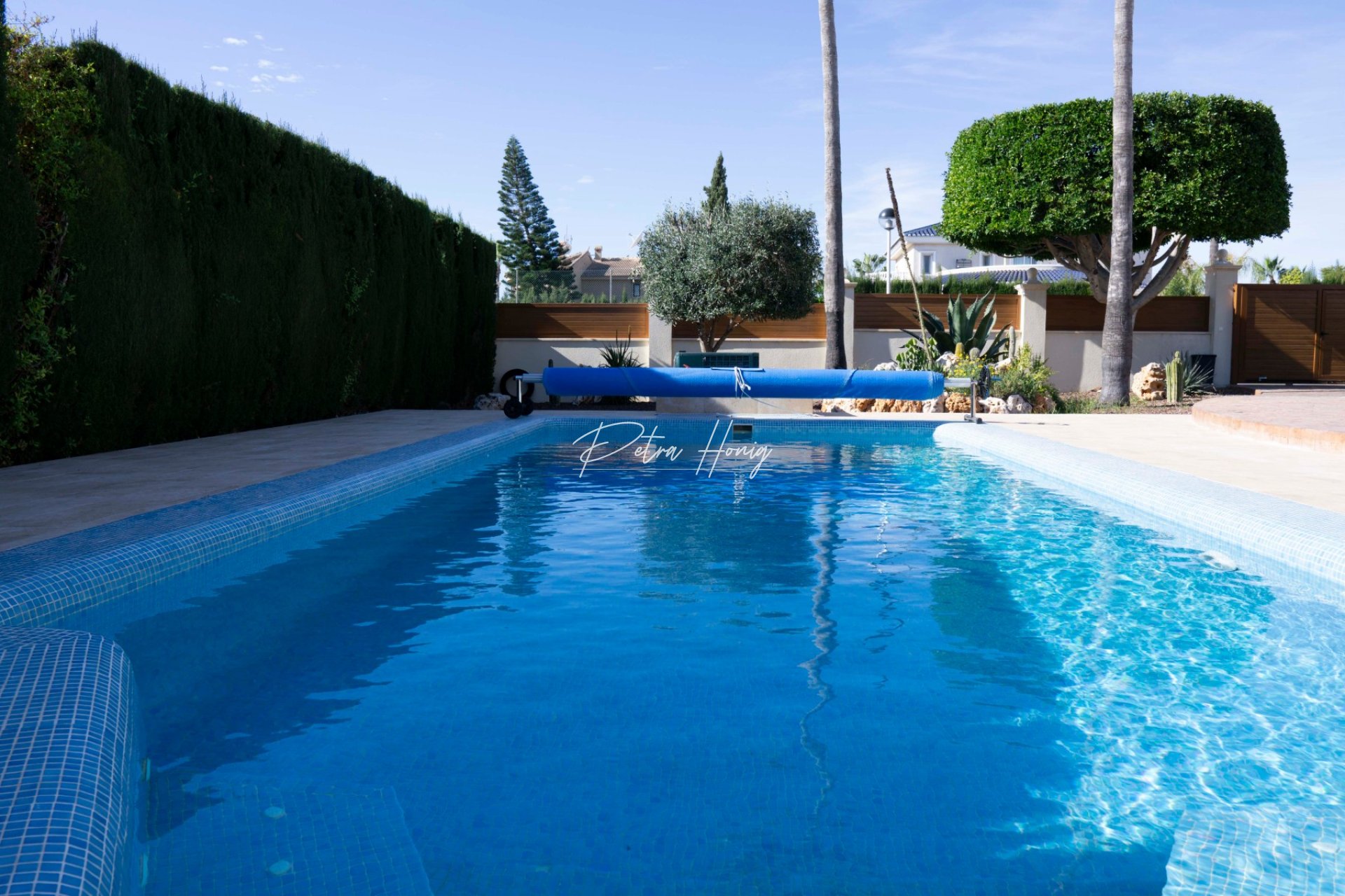 Resales - Villa - Ciudad Quesada - Dona Pepa