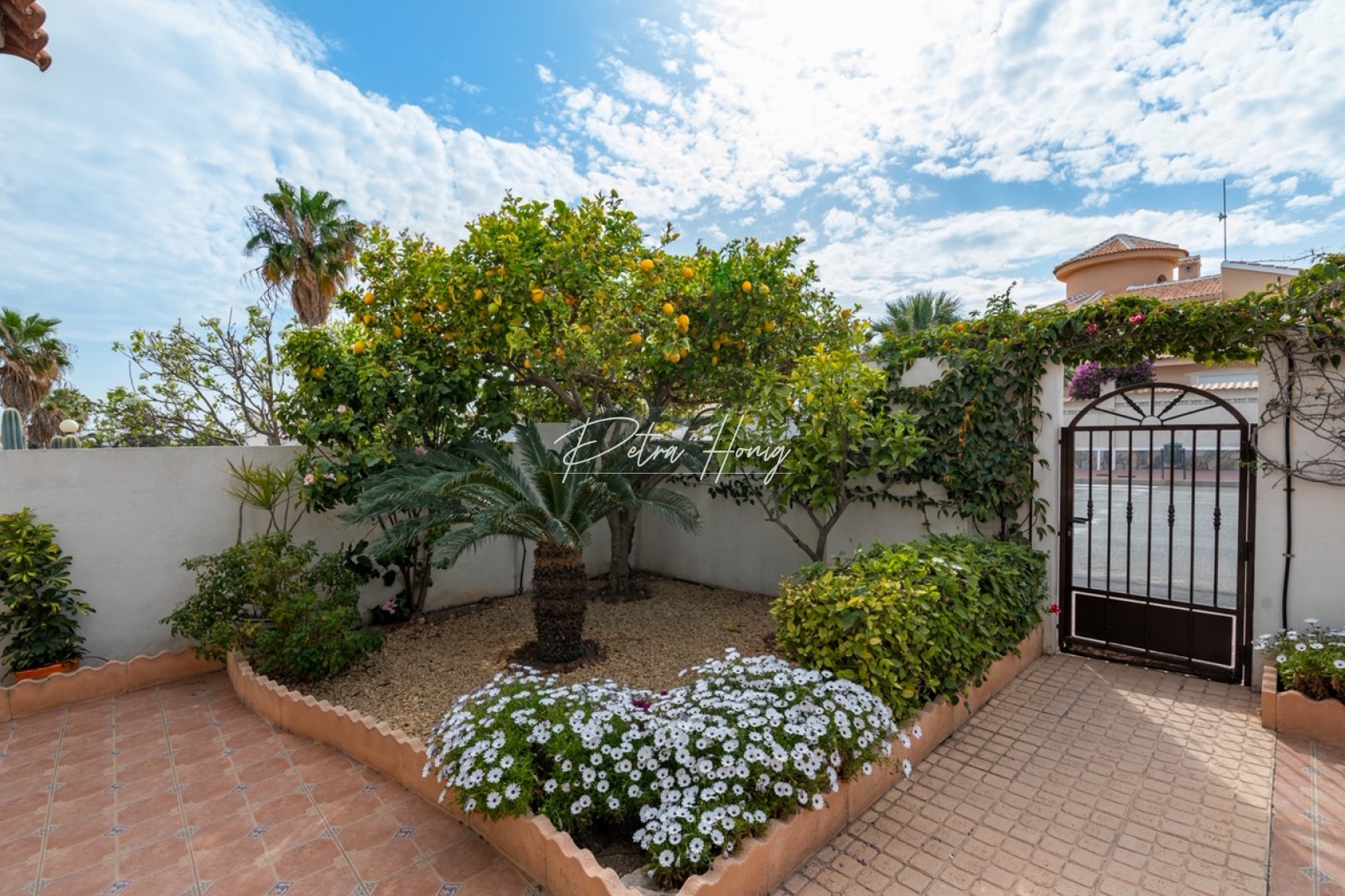 Resales - Villa - Ciudad Quesada - La Fiesta