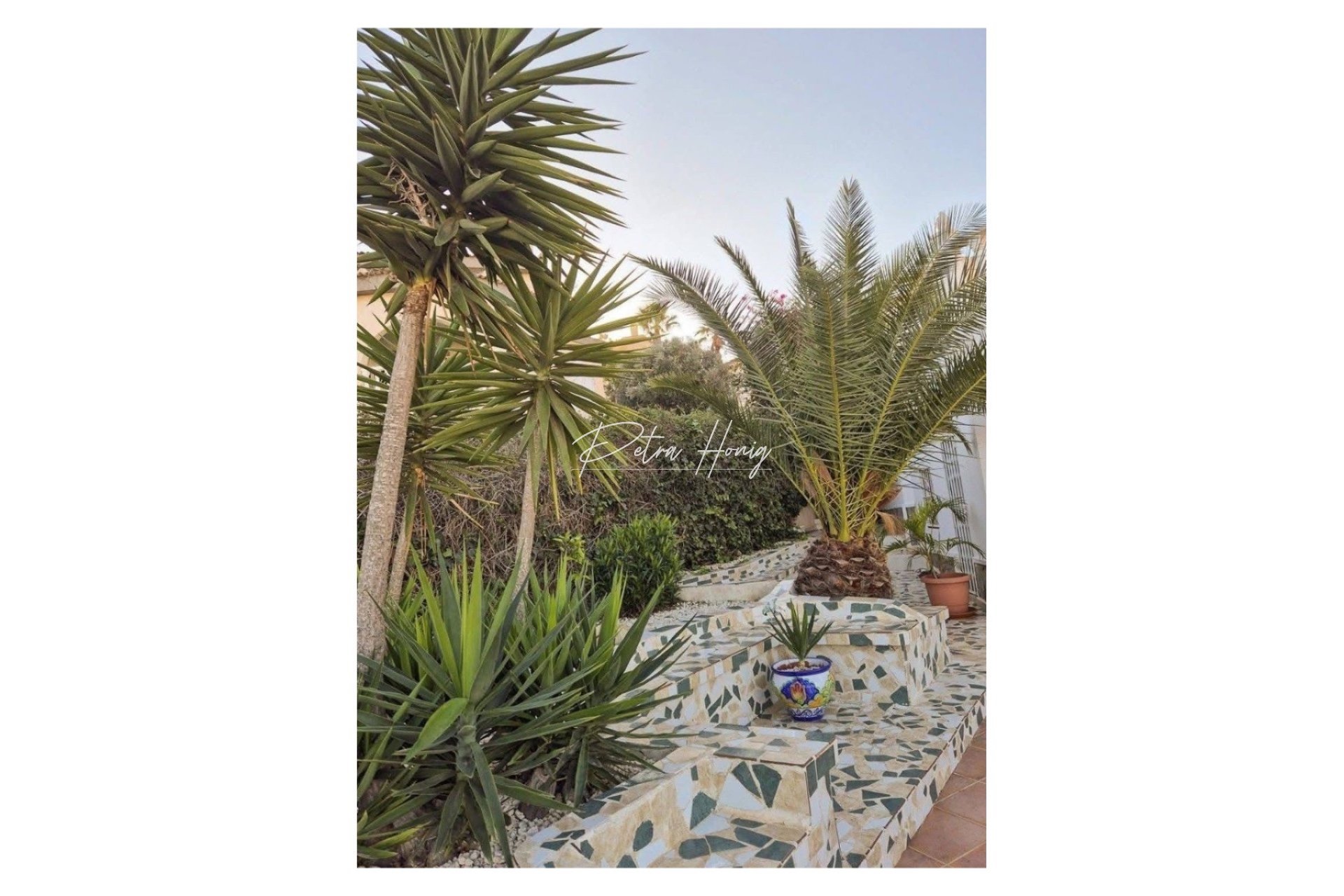 Resales - Villa - Ciudad Quesada - La Marquesa Golf