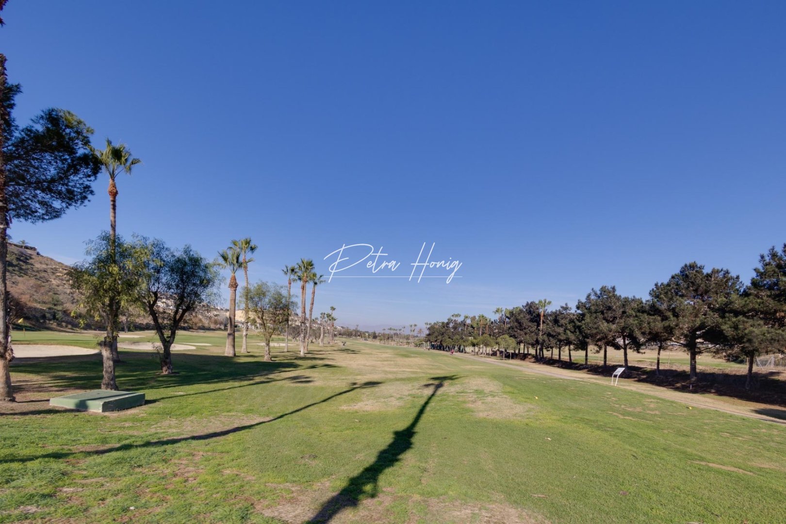 Resales - Villa - Ciudad Quesada - La Marquesa Golf