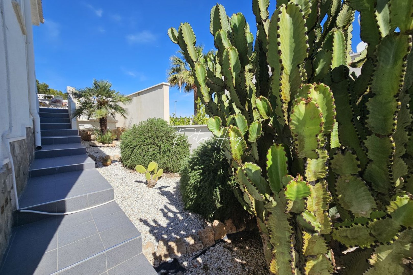 Resales - Villa - Ciudad Quesada - La Marquesa Golf