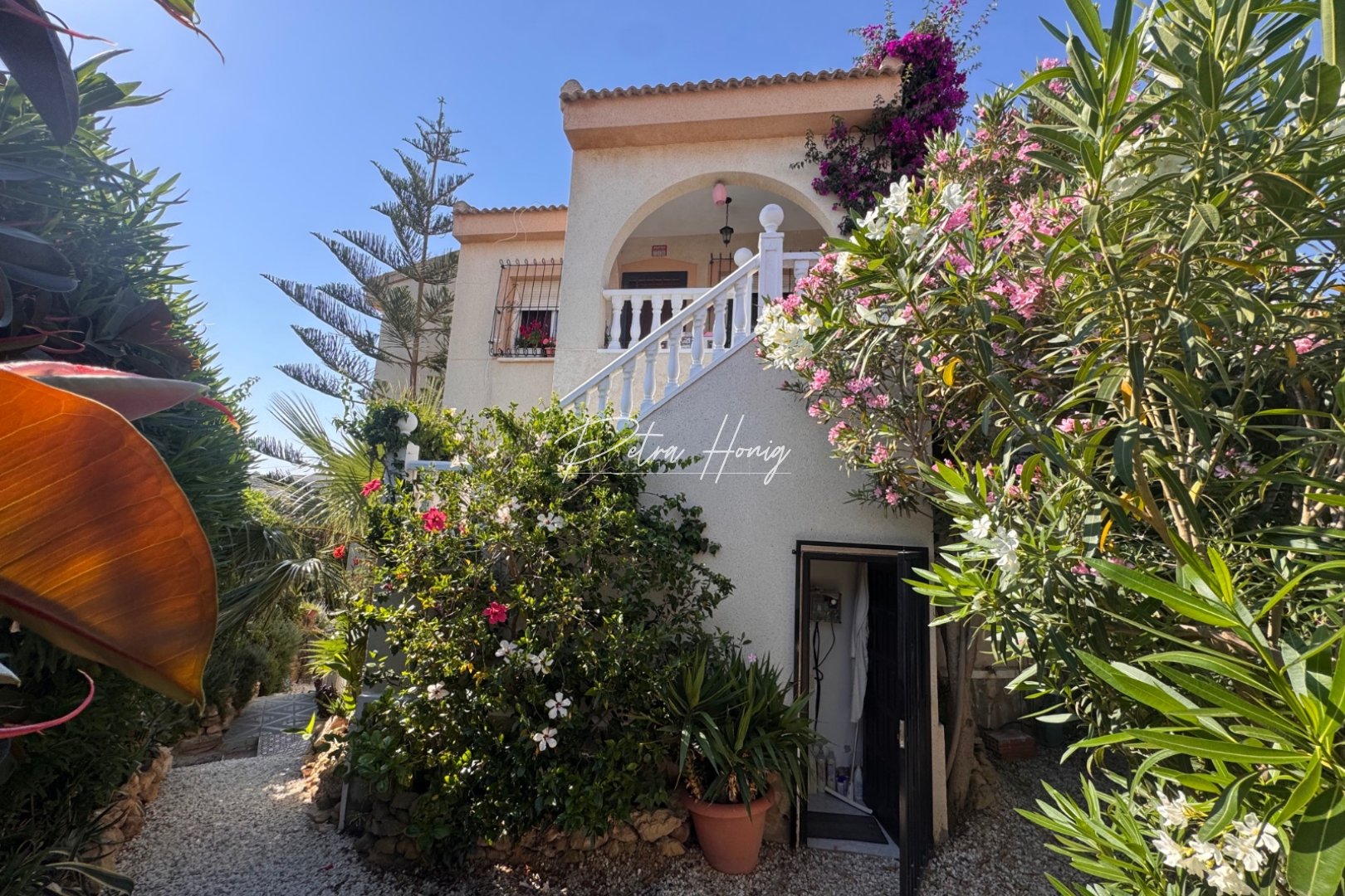 Resales - Villa - Ciudad Quesada - La Marquesa Golf