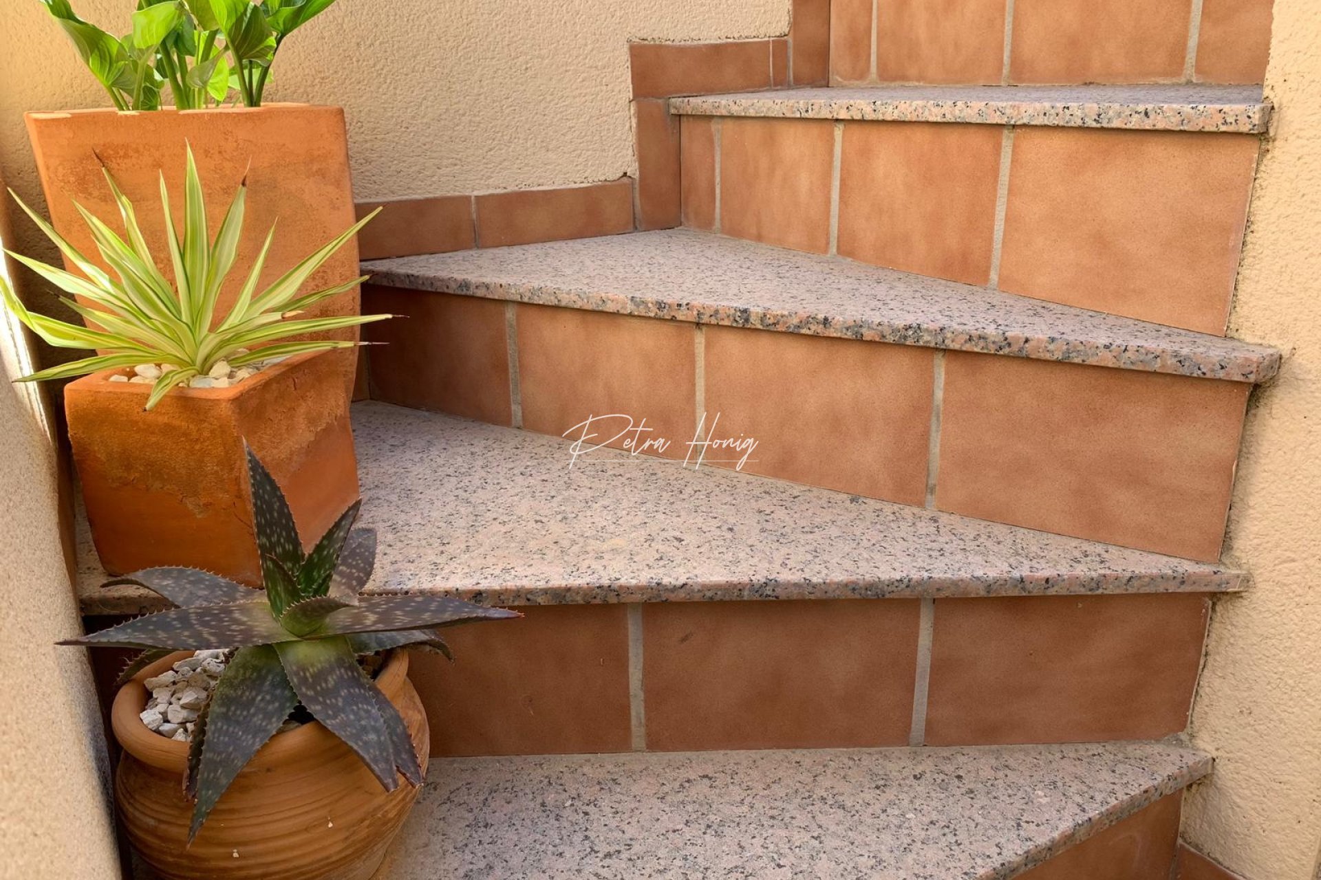 Resales - Villa - Ciudad Quesada - La Marquesa Golf
