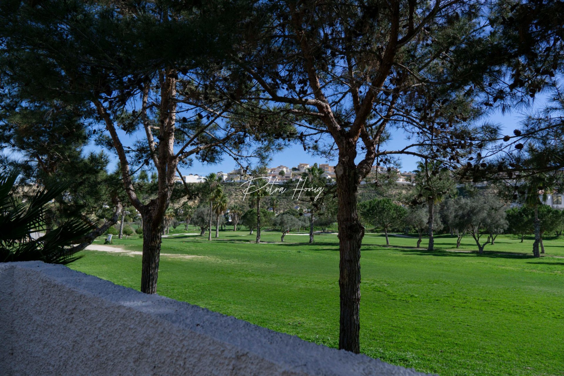 Resales - Villa - Ciudad Quesada - La Marquesa Golf