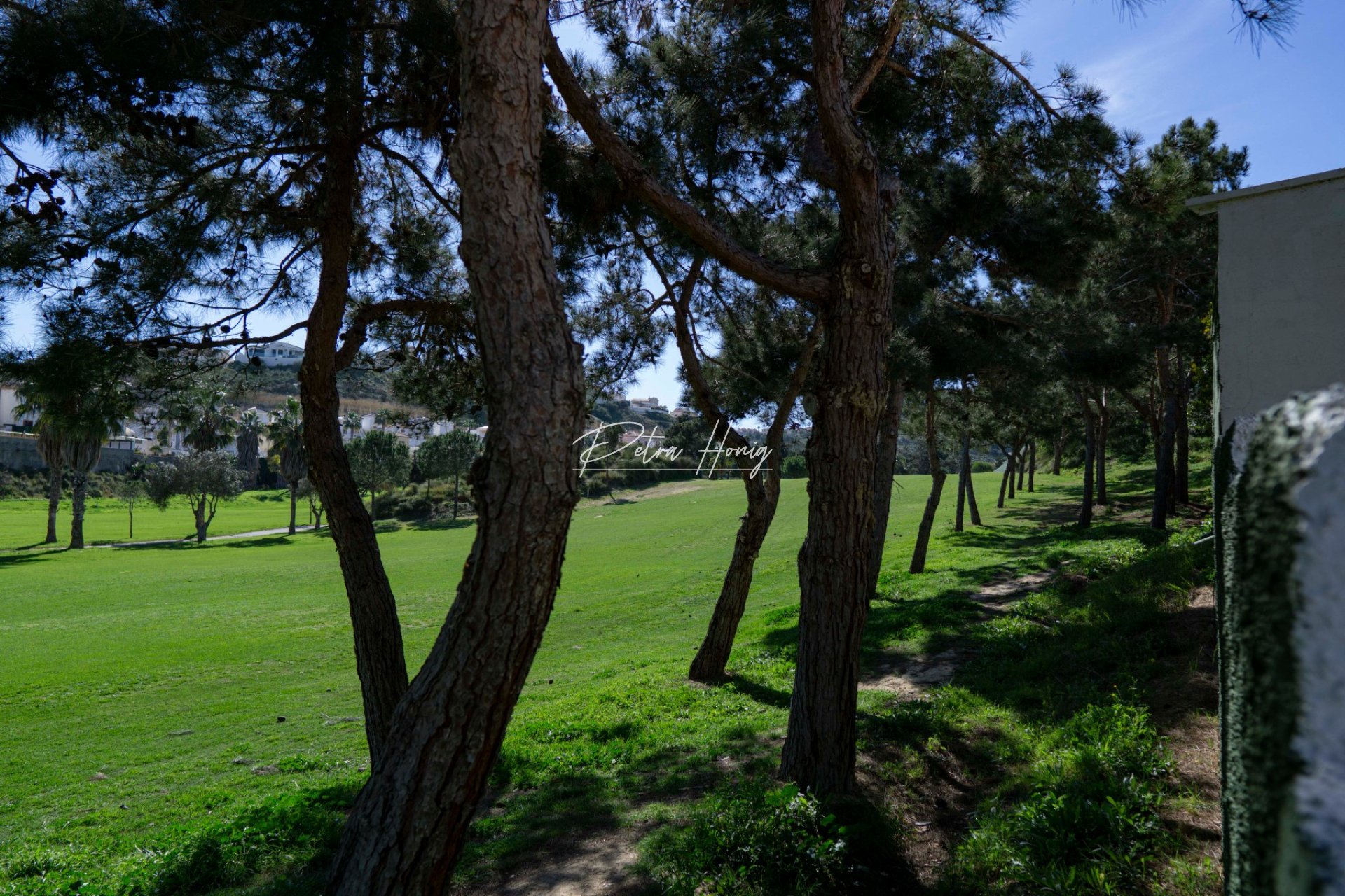 Resales - Villa - Ciudad Quesada - La Marquesa Golf