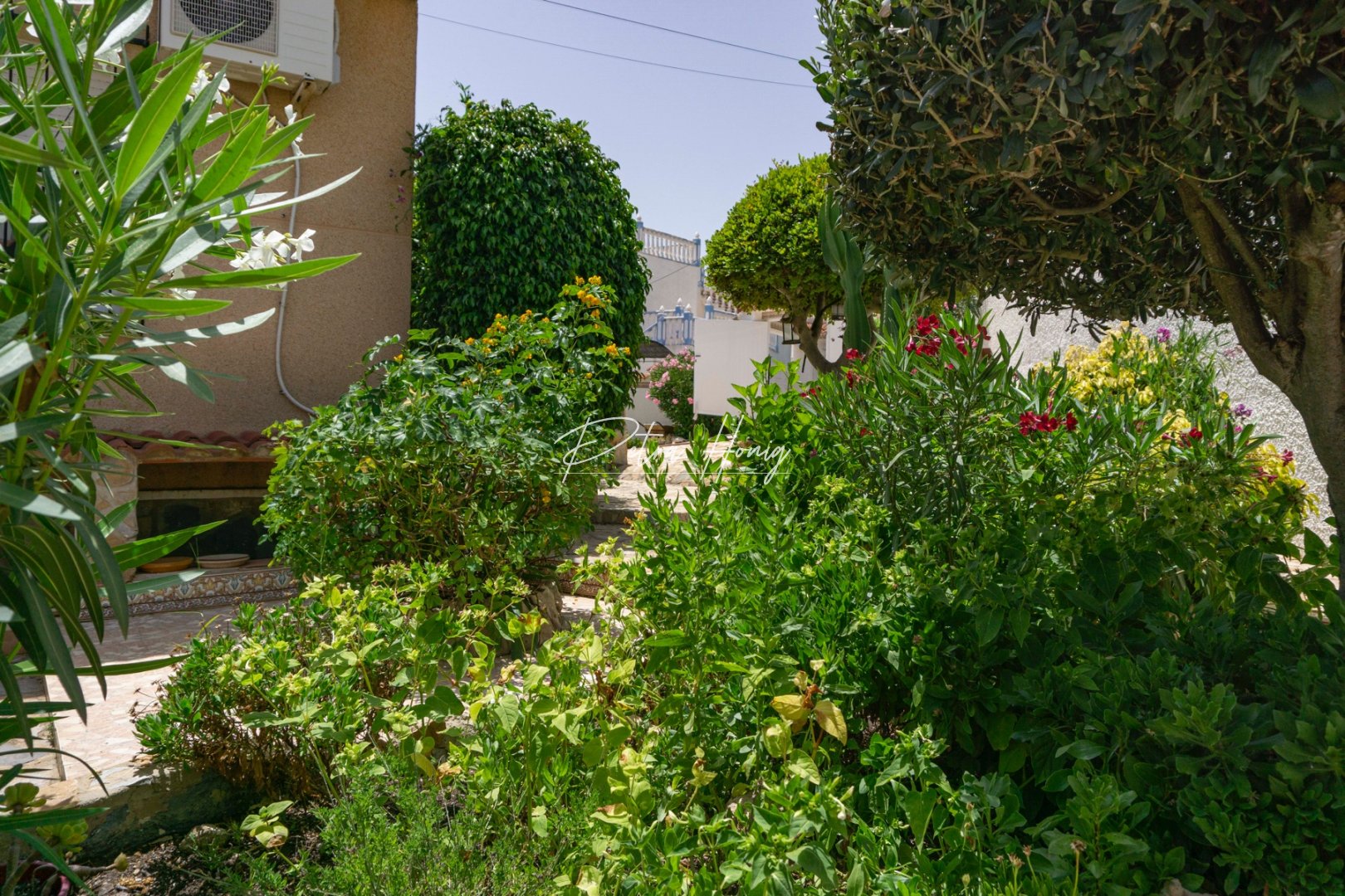 Resales - Villa - Ciudad Quesada - La Marquesa Golf