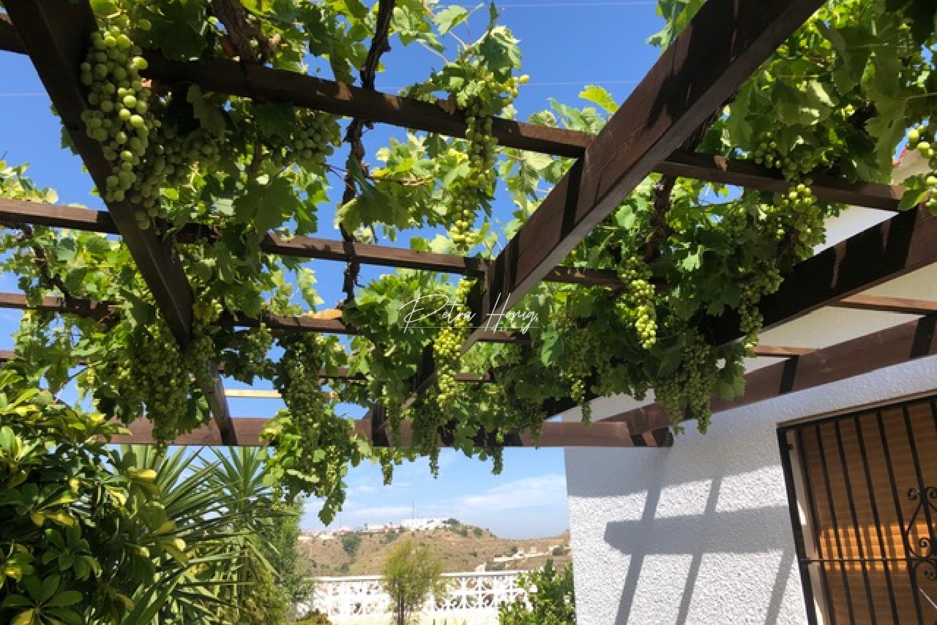 Resales - Villa - Ciudad Quesada - La Marquesa Golf
