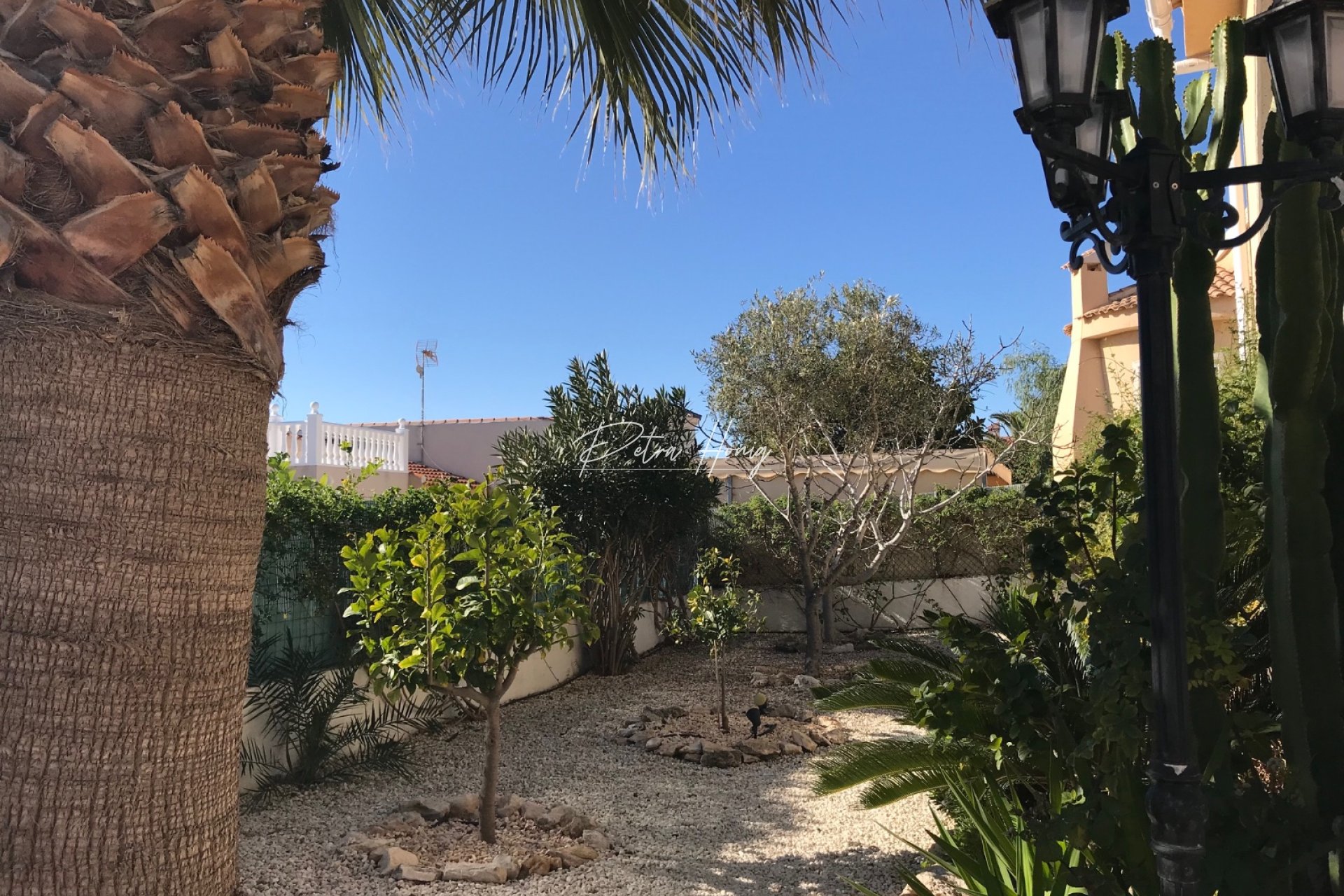 Resales - Villa - Ciudad Quesada - Lo Pepin