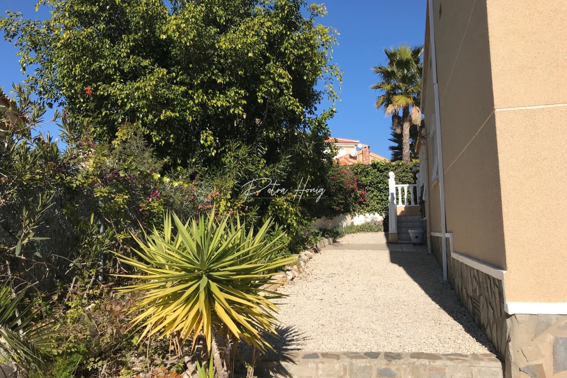 Resales - Villa - Ciudad Quesada - Lo Pepin