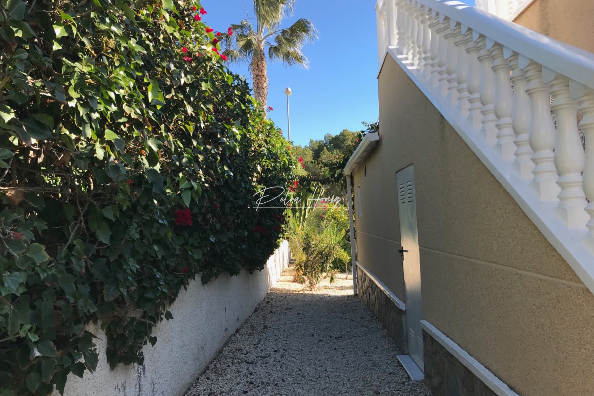 Resales - Villa - Ciudad Quesada - Lo Pepin