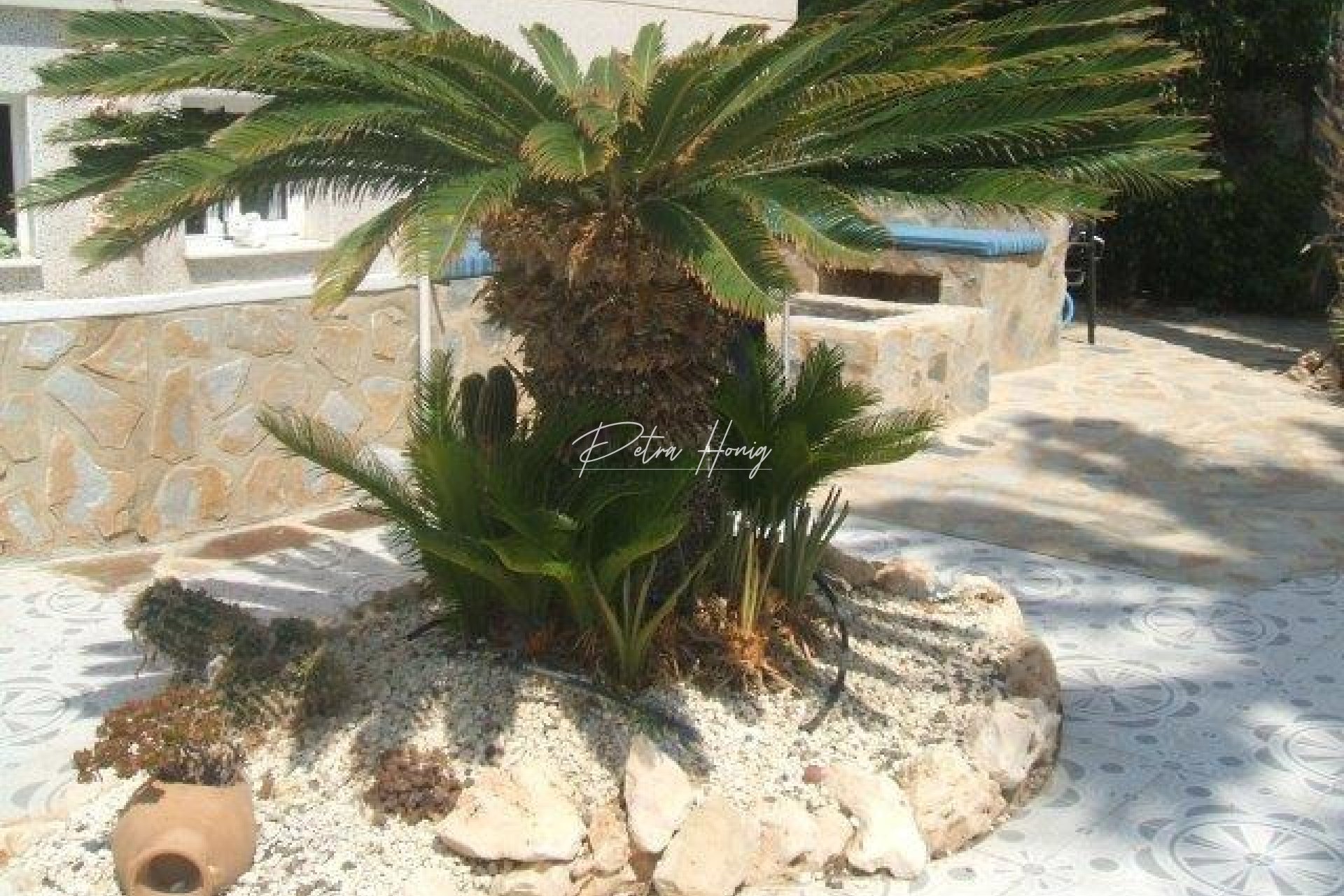 Resales - Villa - Ciudad Quesada - Lo Pepin