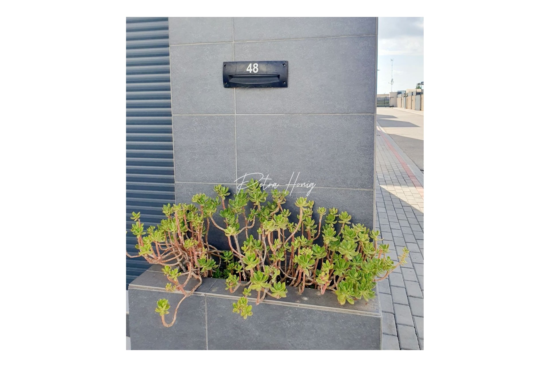 Resales - Villa - Ciudad Quesada - Pueblo Bravo