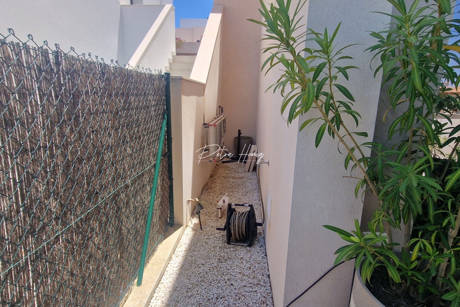 Resales - Villa - Ciudad Quesada - Pueblo Lucero