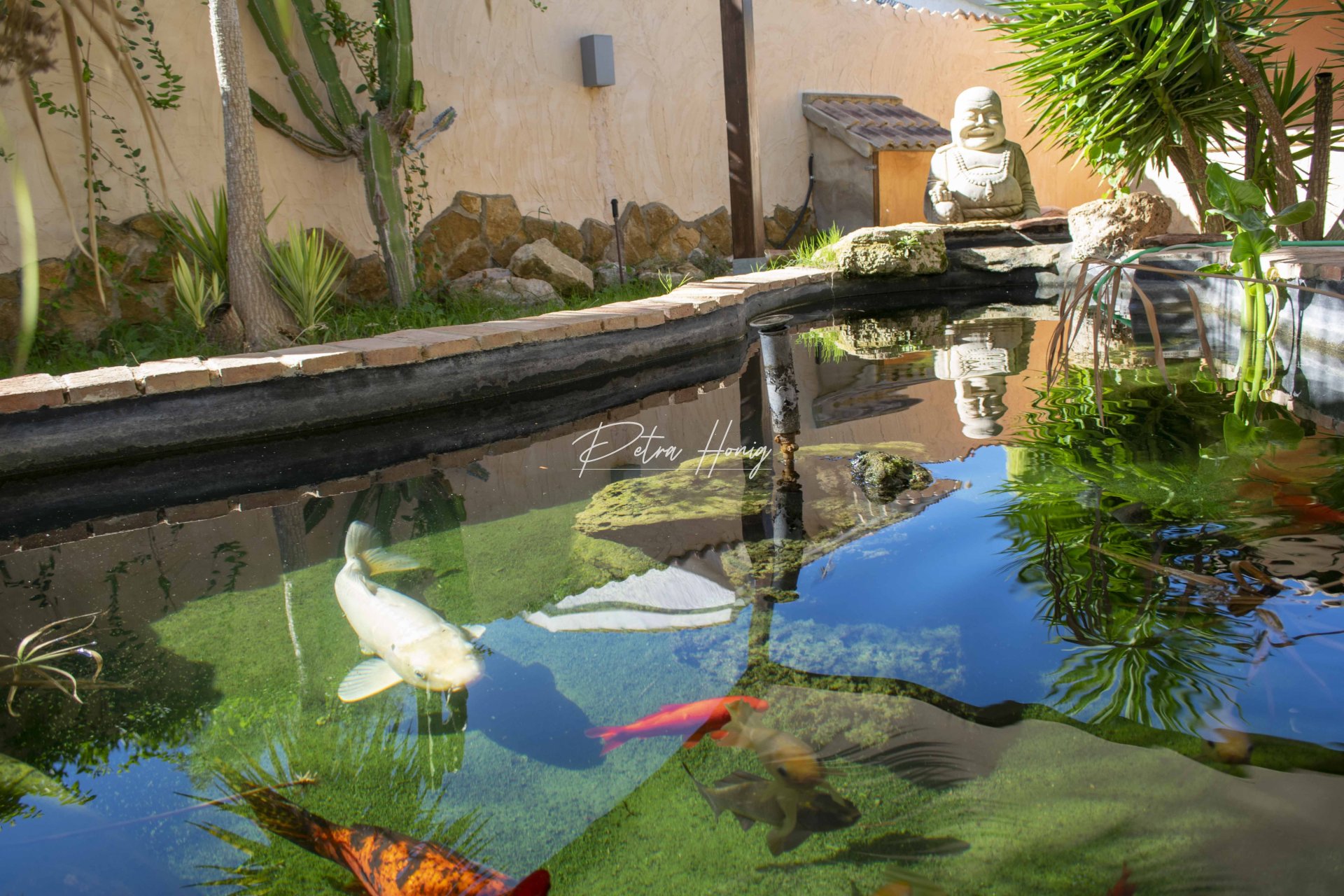 Resales - Villa - Ciudad Quesada - Town Center