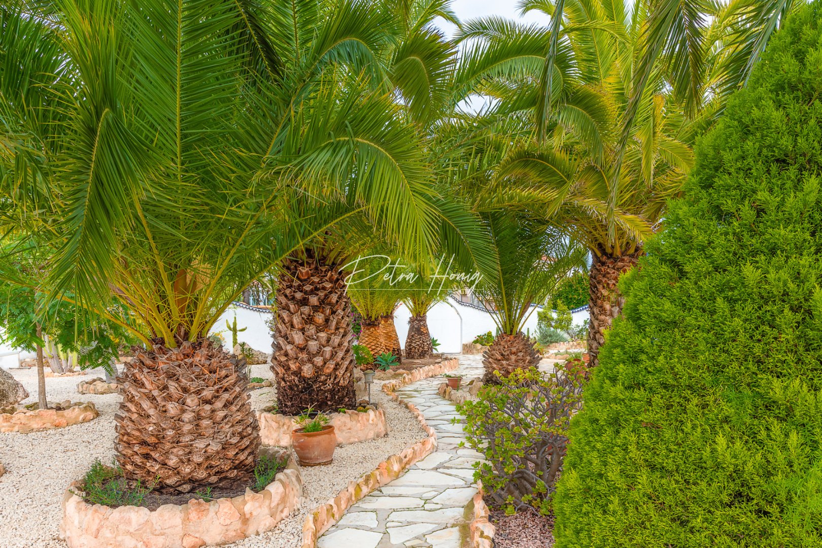 Resales - Villa - Ciudad Quesada - Town Center