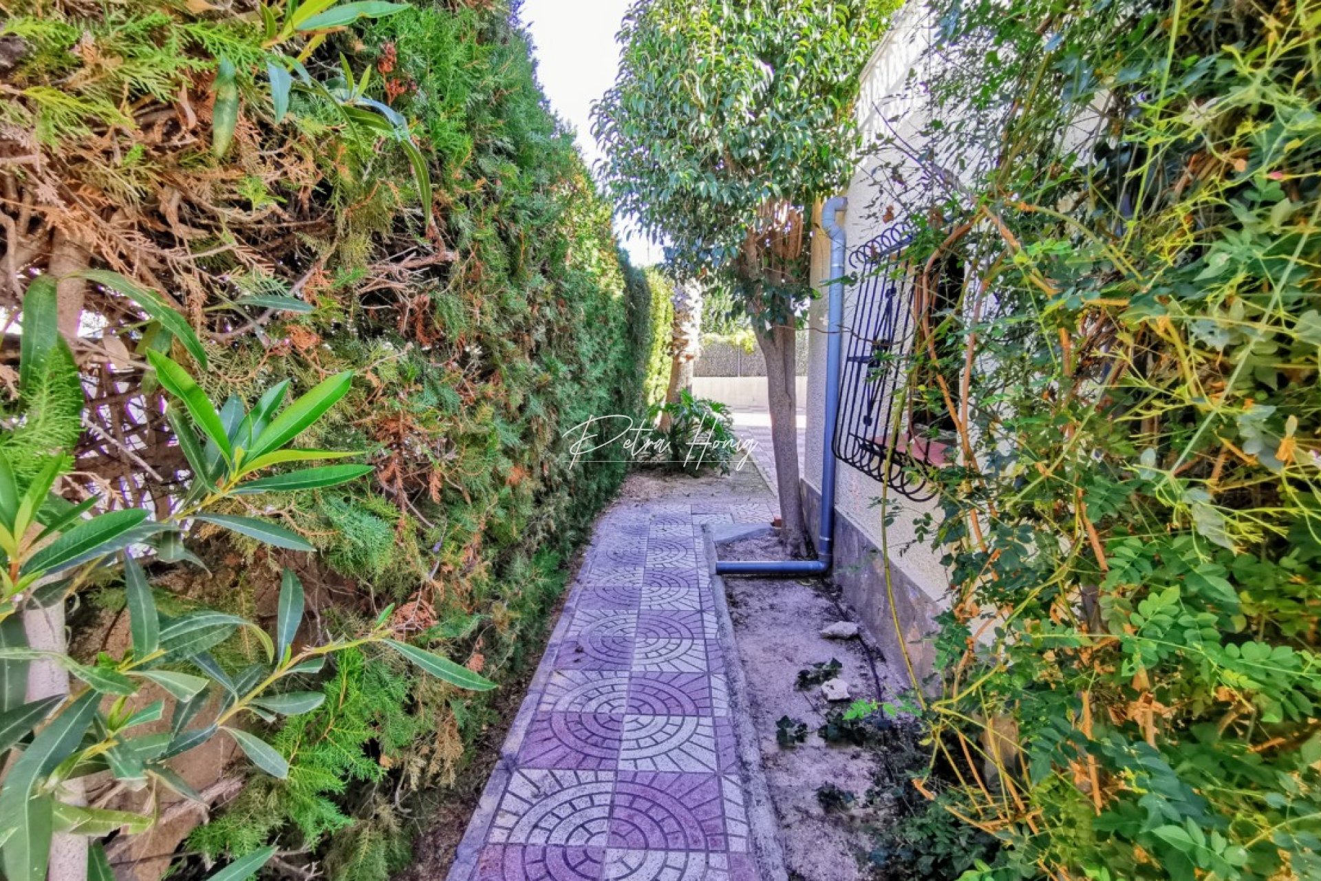 Resales - Villa - Ciudad Quesada - Town Center