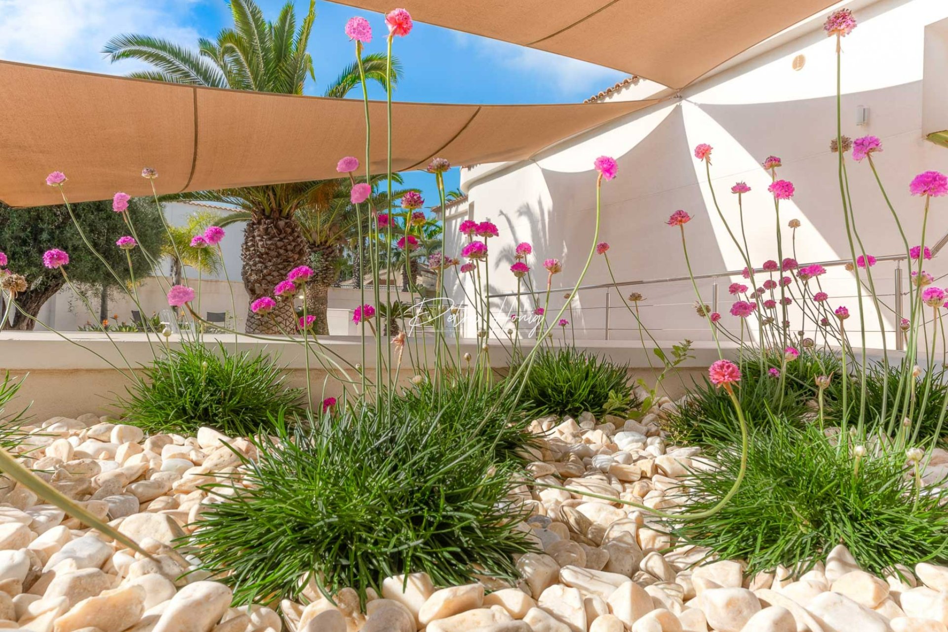 Resales - Villa - Ciudad Quesada - Town Center