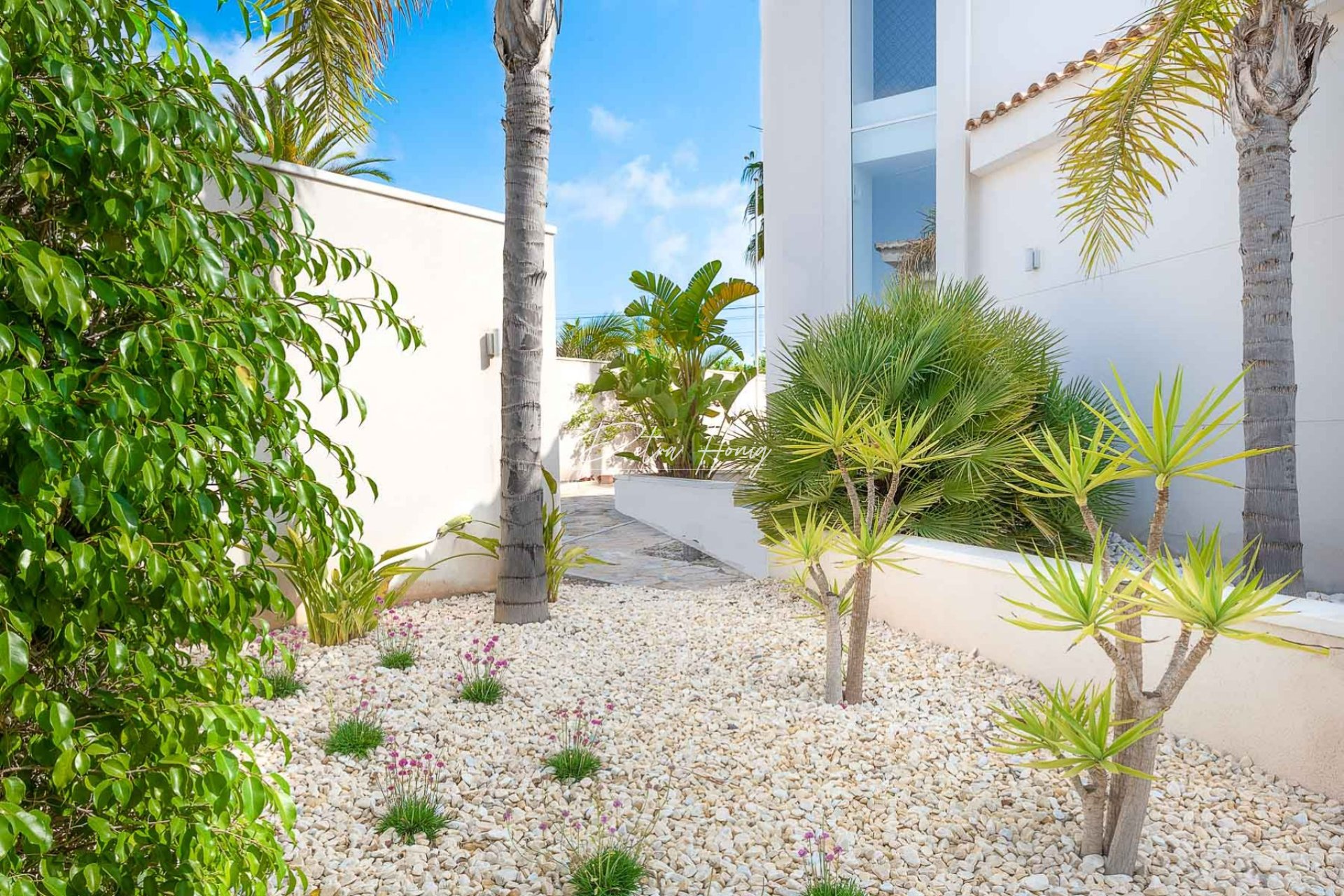 Resales - Villa - Ciudad Quesada - Town Center
