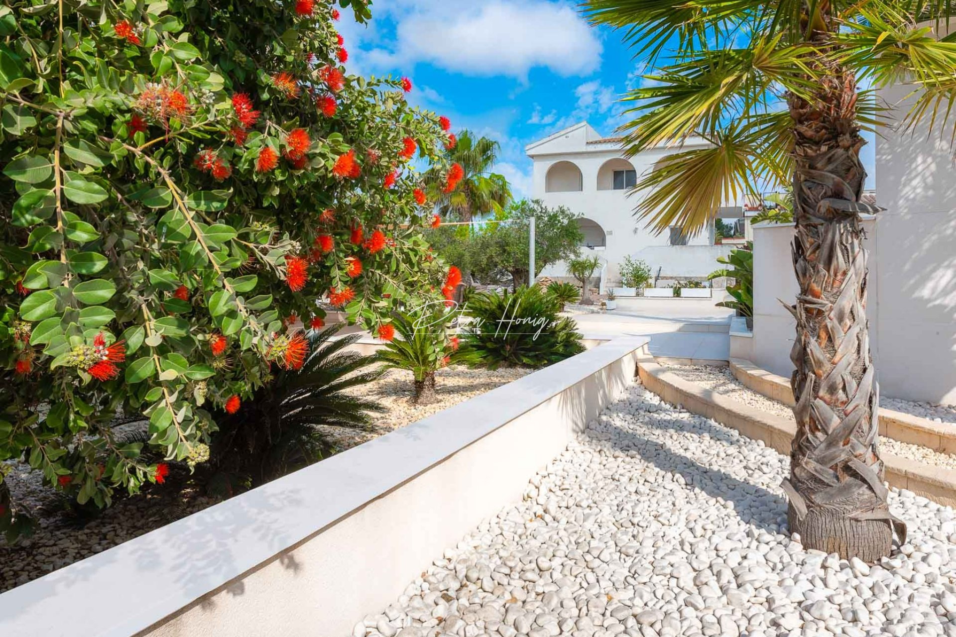 Resales - Villa - Ciudad Quesada - Town Center