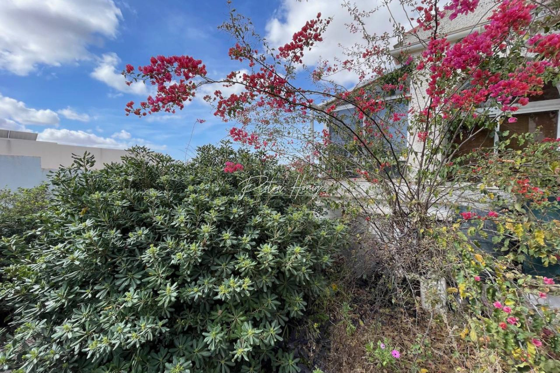 Resales - Villa - Ciudad Quesada - Town Center